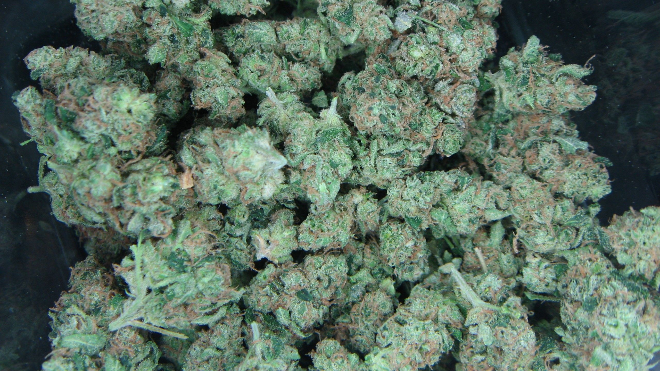 Weed Buds Wallpapers.