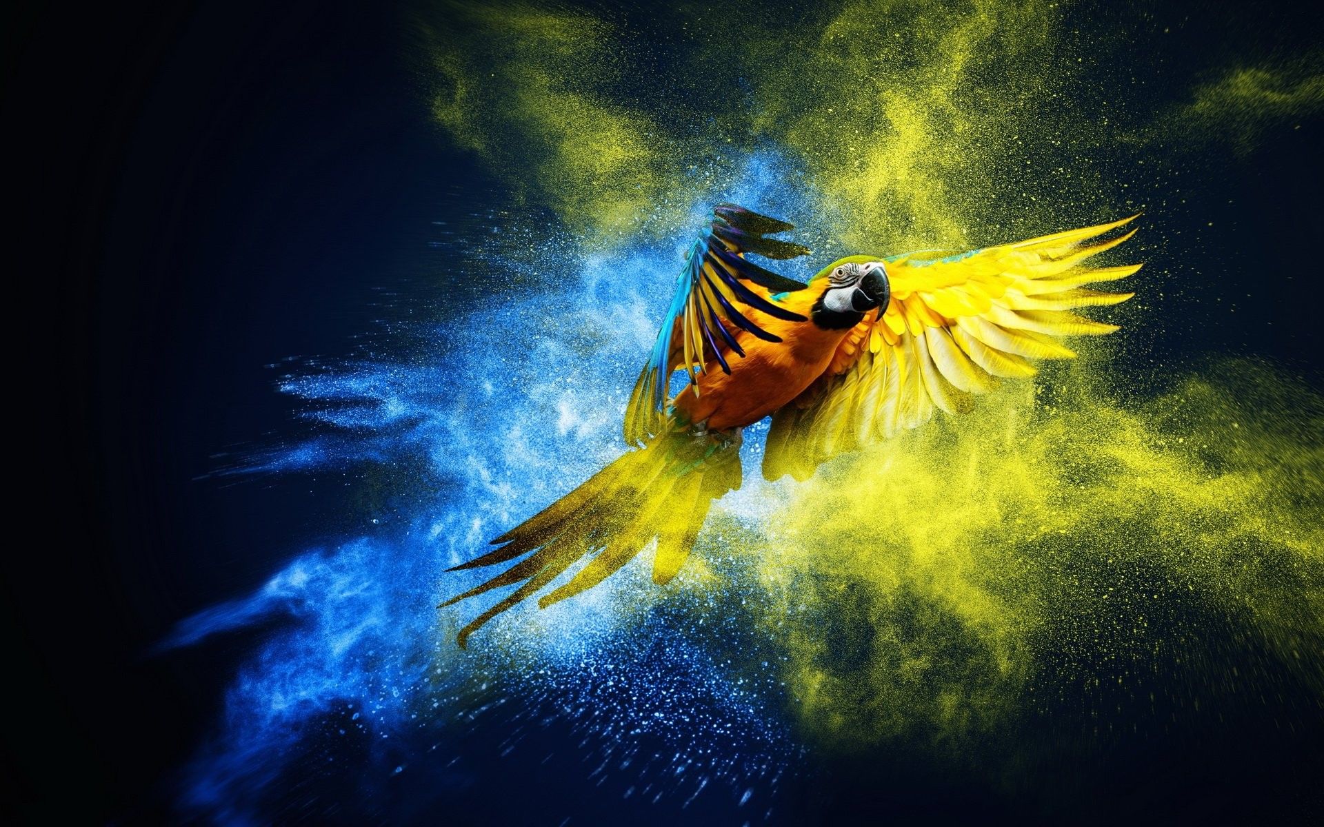 Parrot OS Wallpapers.