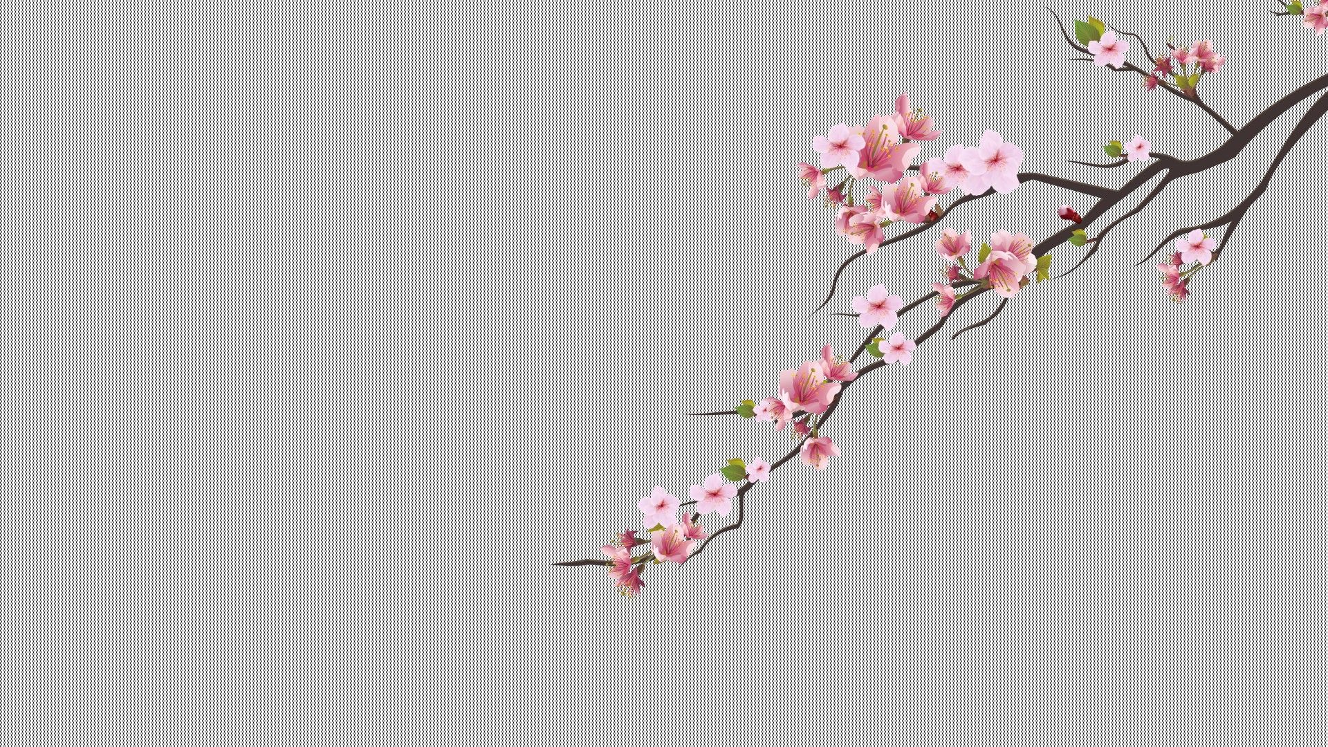 Minimalist Floral Wallpapers - 4k, HD Minimalist Floral Backgrounds on