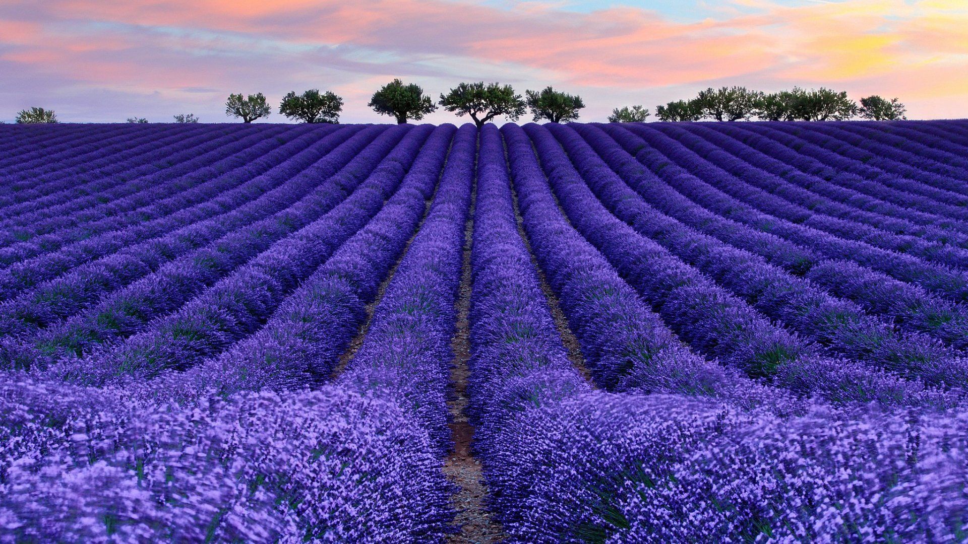 Provence France Desktop Wallpapers - 4k, HD Provence France Desktop ...