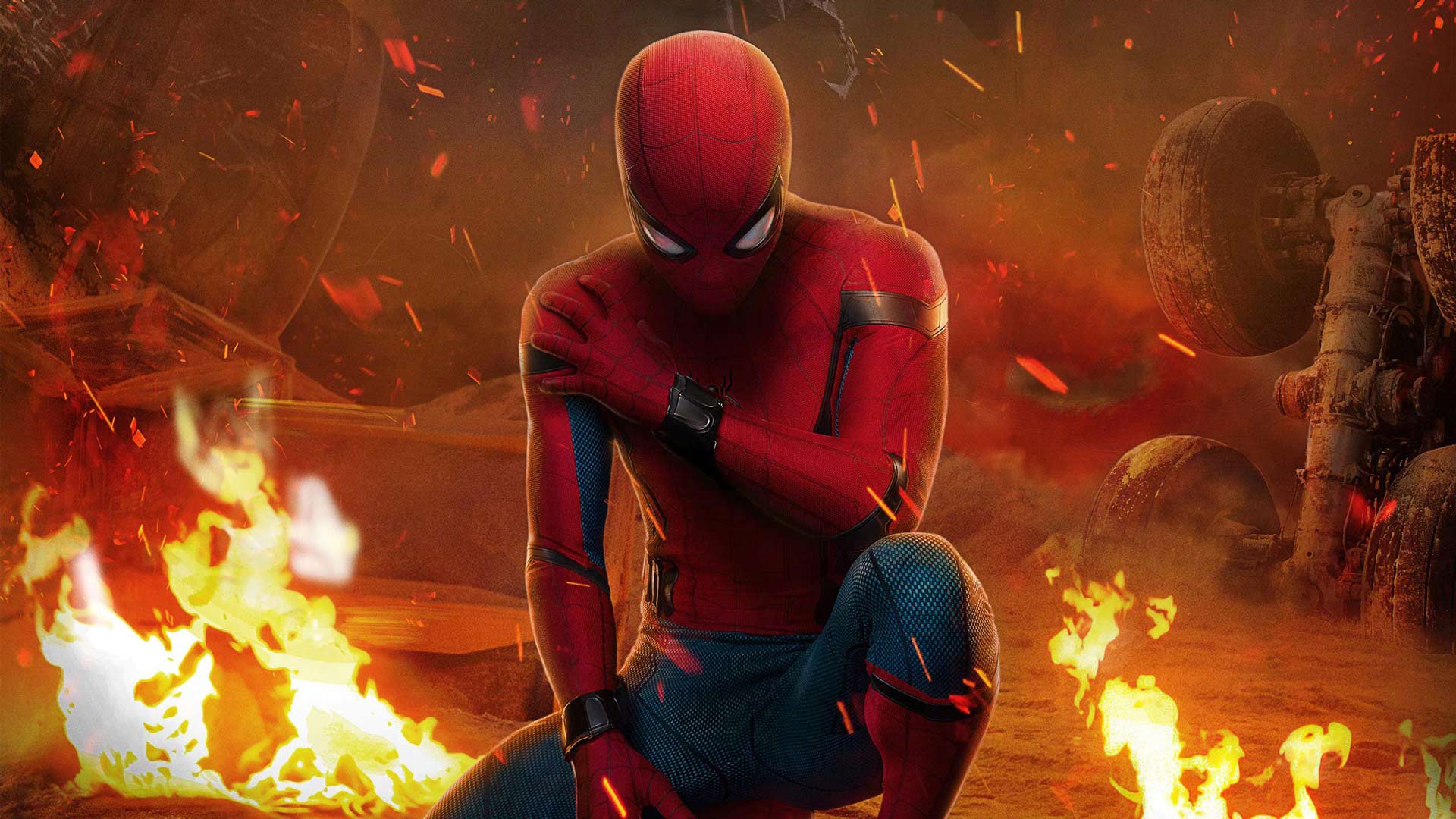 Homem Aranha Tom Holland Wallpaper