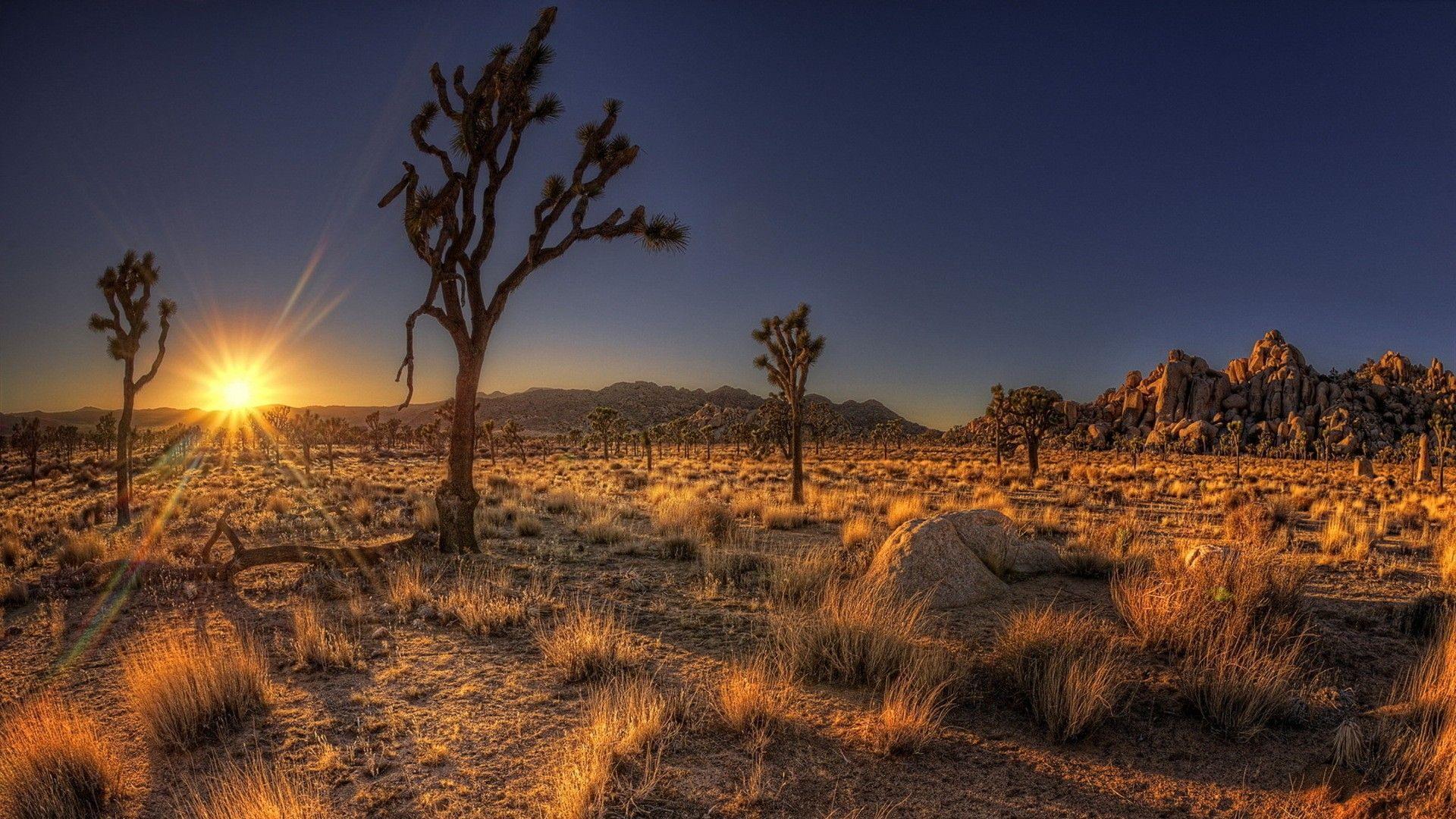 Nevada Desert Landscape Wallpapers - 4k, HD Nevada Desert Landscape Backgrounds on WallpaperBat