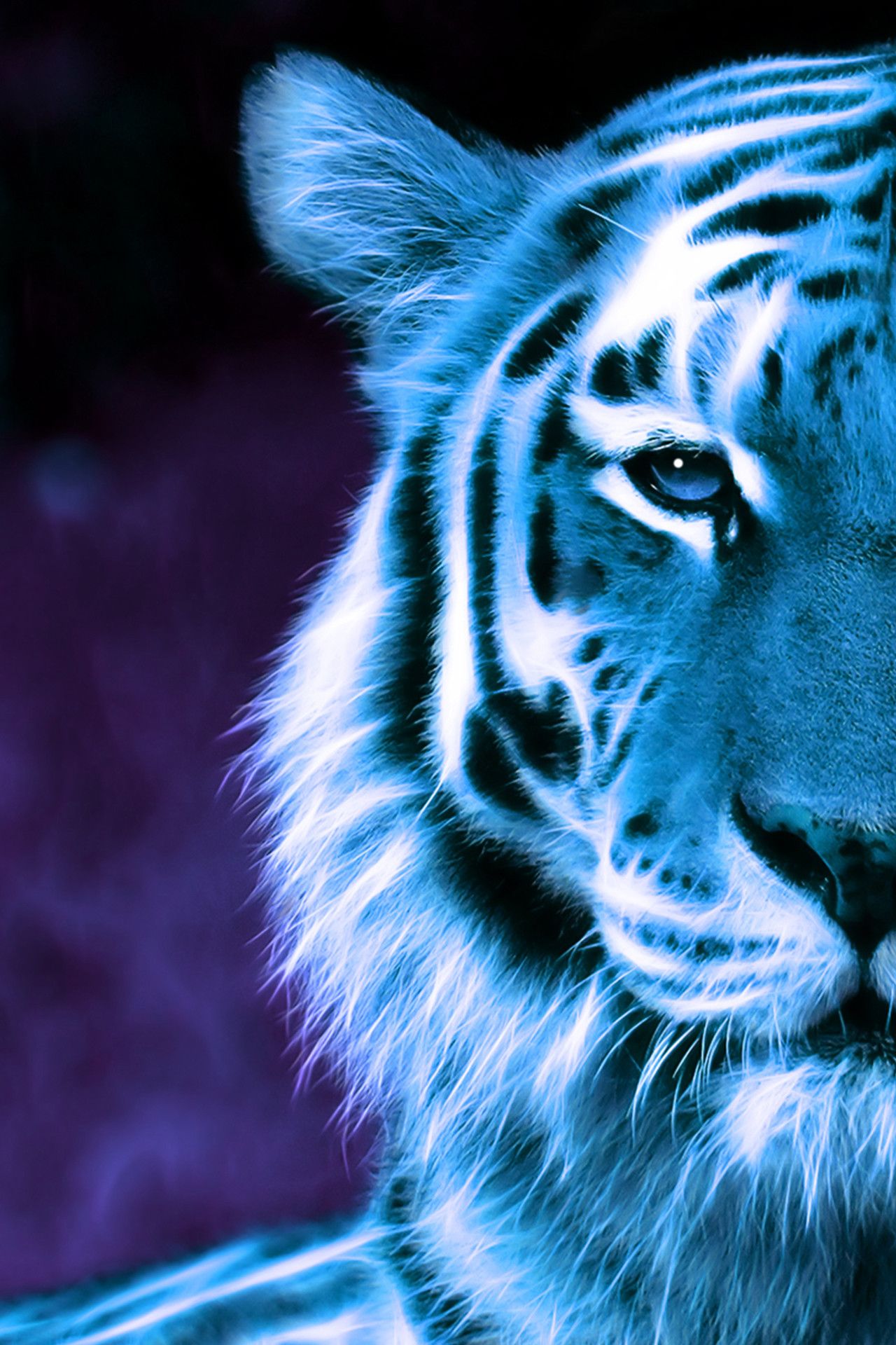 Ice Tiger Wallpapers - 4k, HD Ice Tiger Backgrounds on WallpaperBat