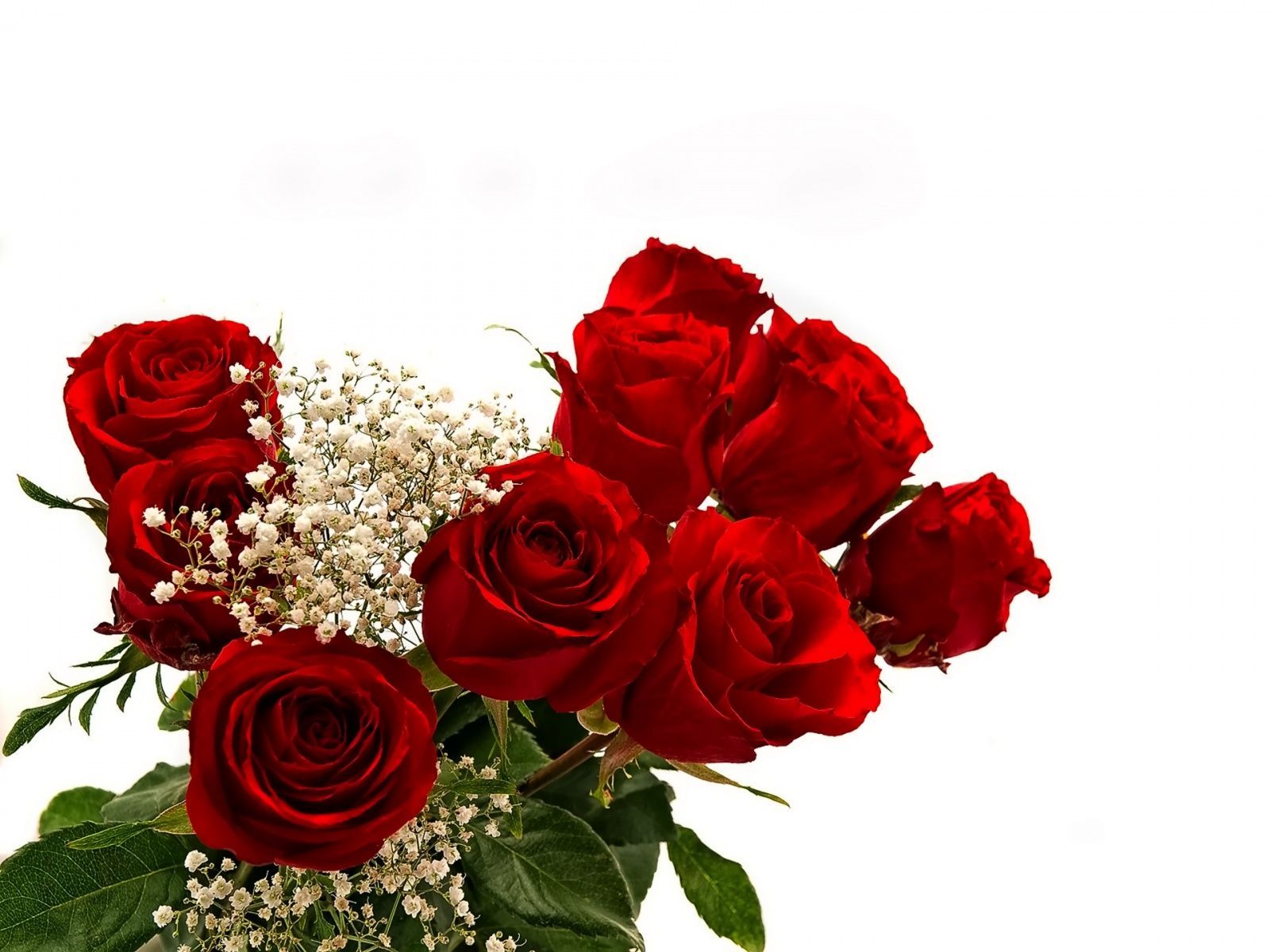 1600x1200 most beautiful roses and bouquet. Beautiful Rose Flowers hi on WallpaperBat