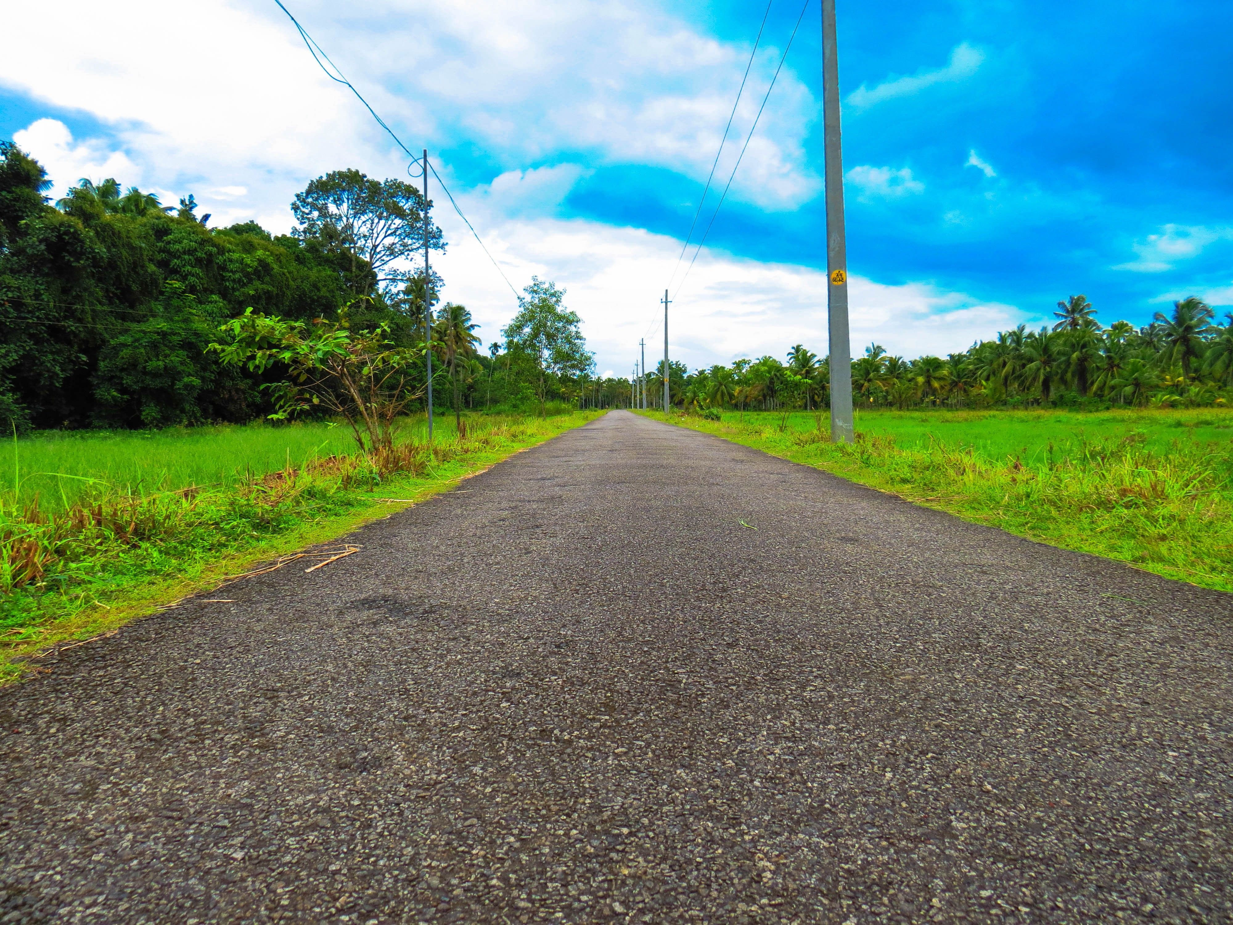 Nature Road Wallpapers.