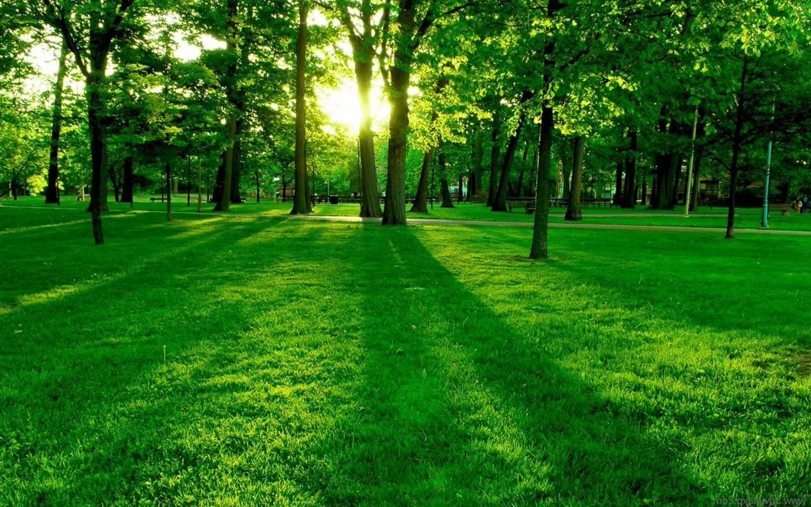 HD Green Landscape Wallpapers - 4k, HD Green Landscape Backgrounds on ...