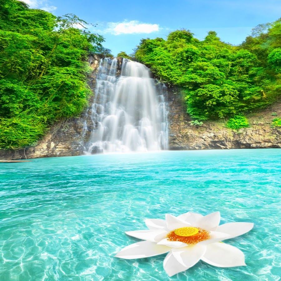 Exotic Waterfall Wallpapers - 4k, HD Exotic Waterfall Backgrounds on ...