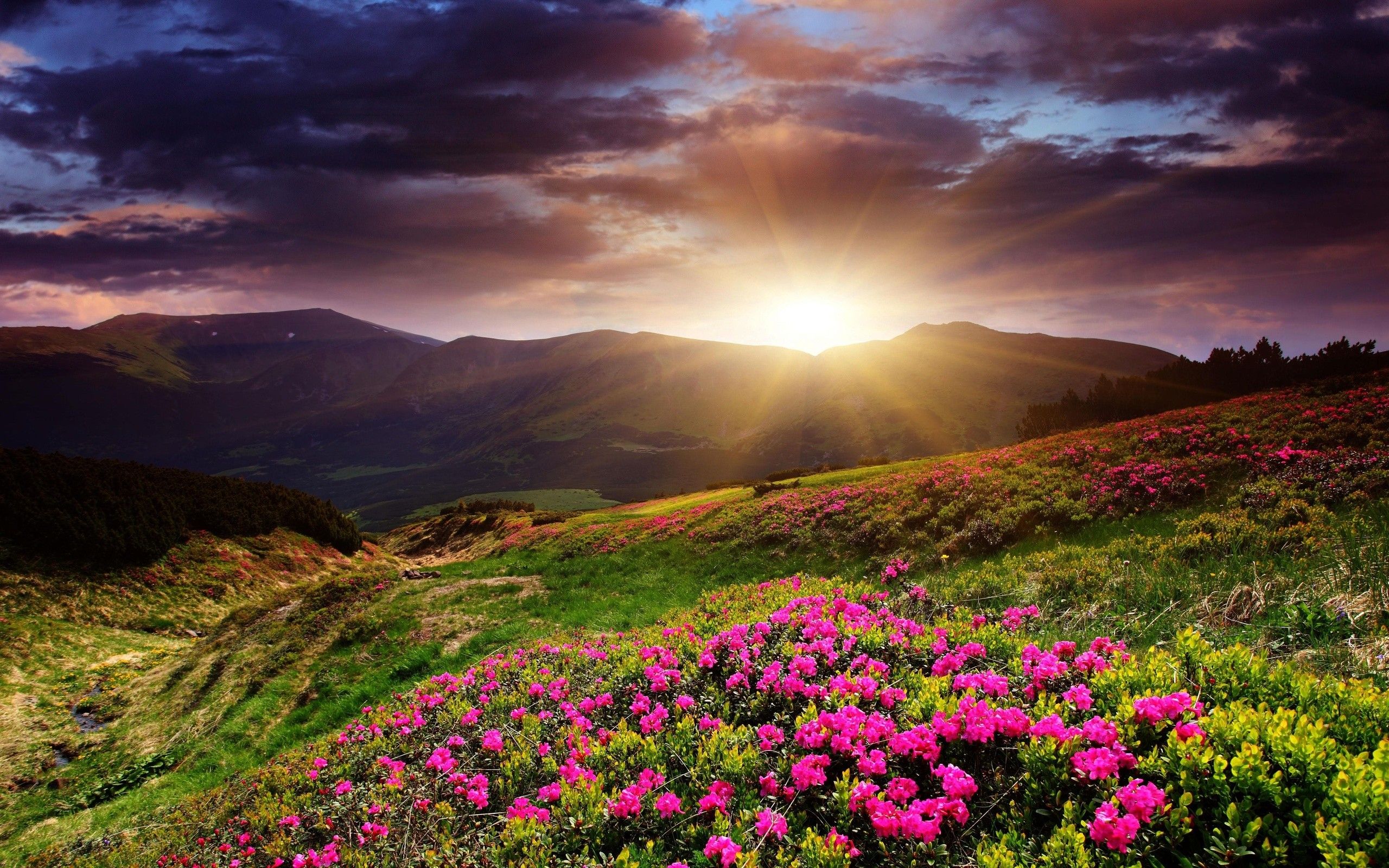 Mountain Sunrise HD Wallpapers - 4k, HD Mountain Sunrise Backgrounds On ...