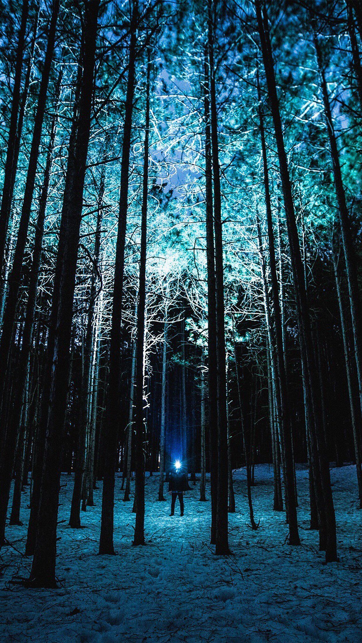 Blue Nature Wallpapers - 4k, HD Blue Nature Backgrounds on WallpaperBat