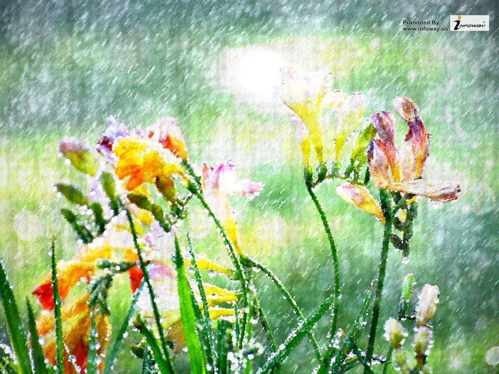 Spring Rain Wallpapers - 4k, HD Spring Rain Backgrounds on WallpaperBat