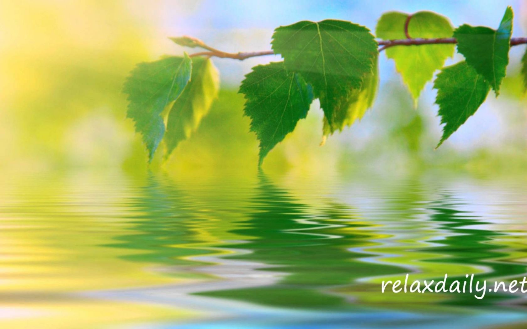 calm-peaceful-wallpapers-4k-hd-calm-peaceful-backgrounds-on-wallpaperbat