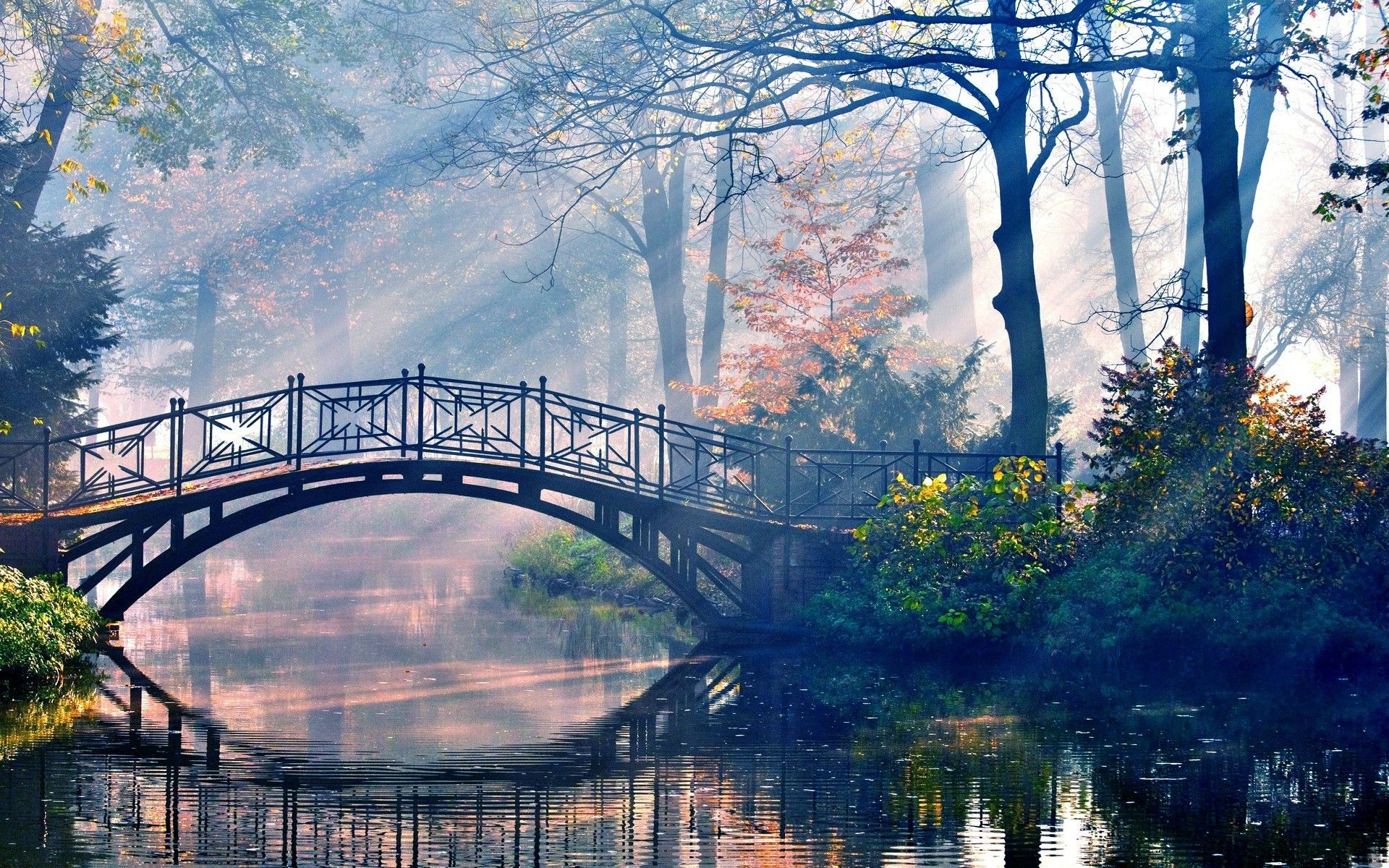 1920x1200 forest, River, Bridge, Trees, Reflection Wallpapers HD / Desktop ... Wallpaper