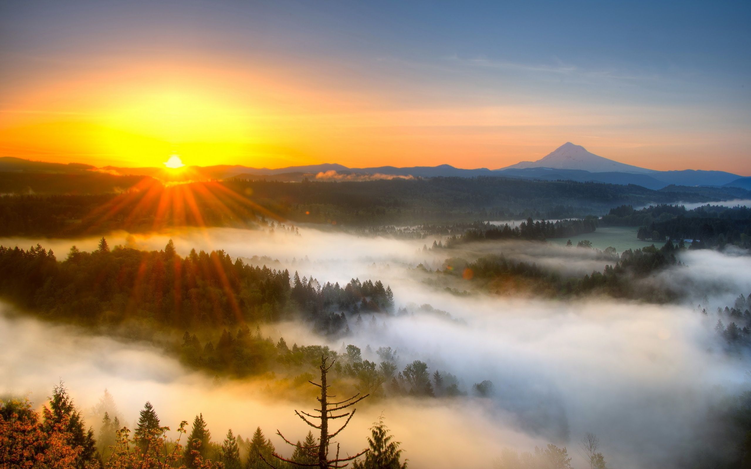 Morning Sunrise Wallpapers - 4k, HD Morning Sunrise Backgrounds on ...