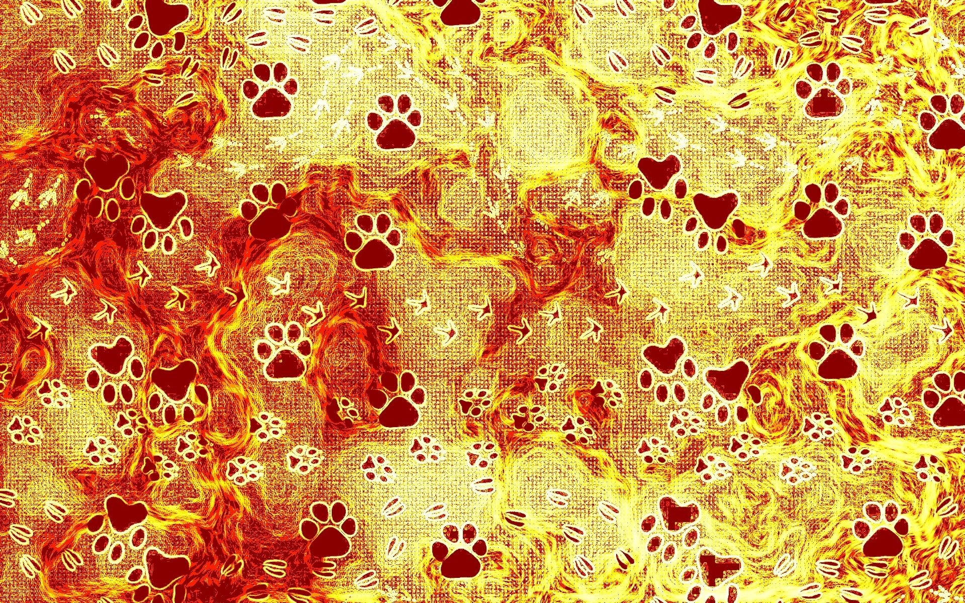 Paw Wallpapers - 4k, HD Paw Backgrounds on WallpaperBat