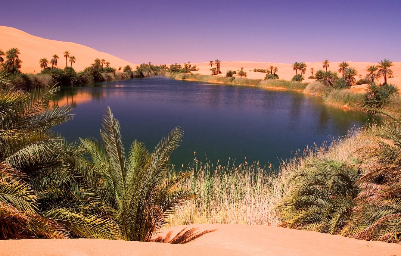 Desert Oasis Landscape Wallpapers 4k Hd Desert Oasis Landscape