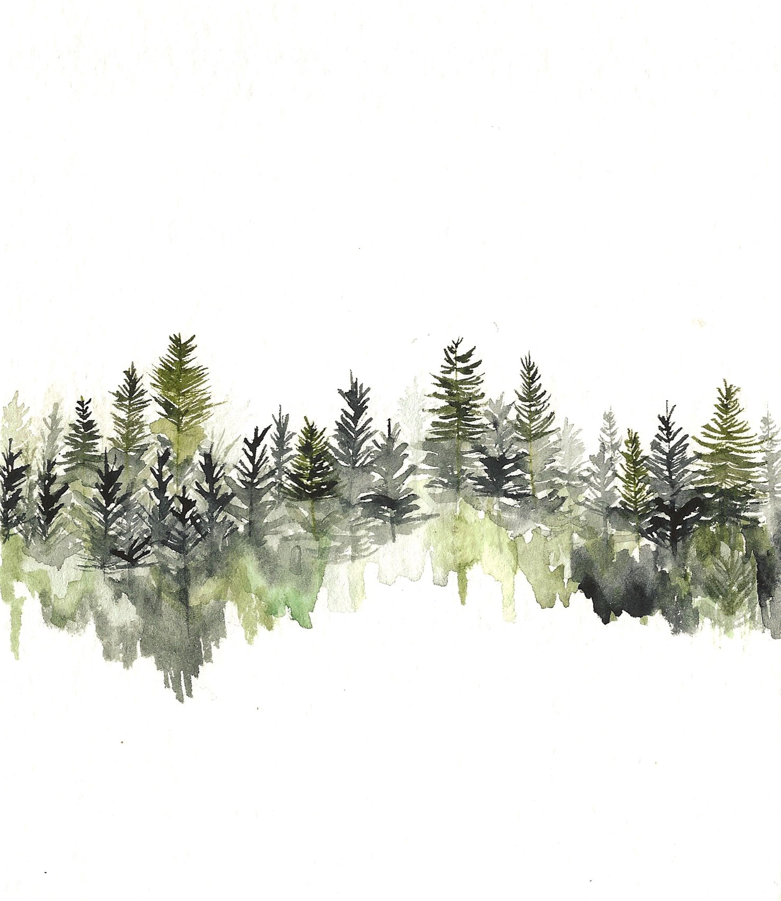Рисунок хвойного леса