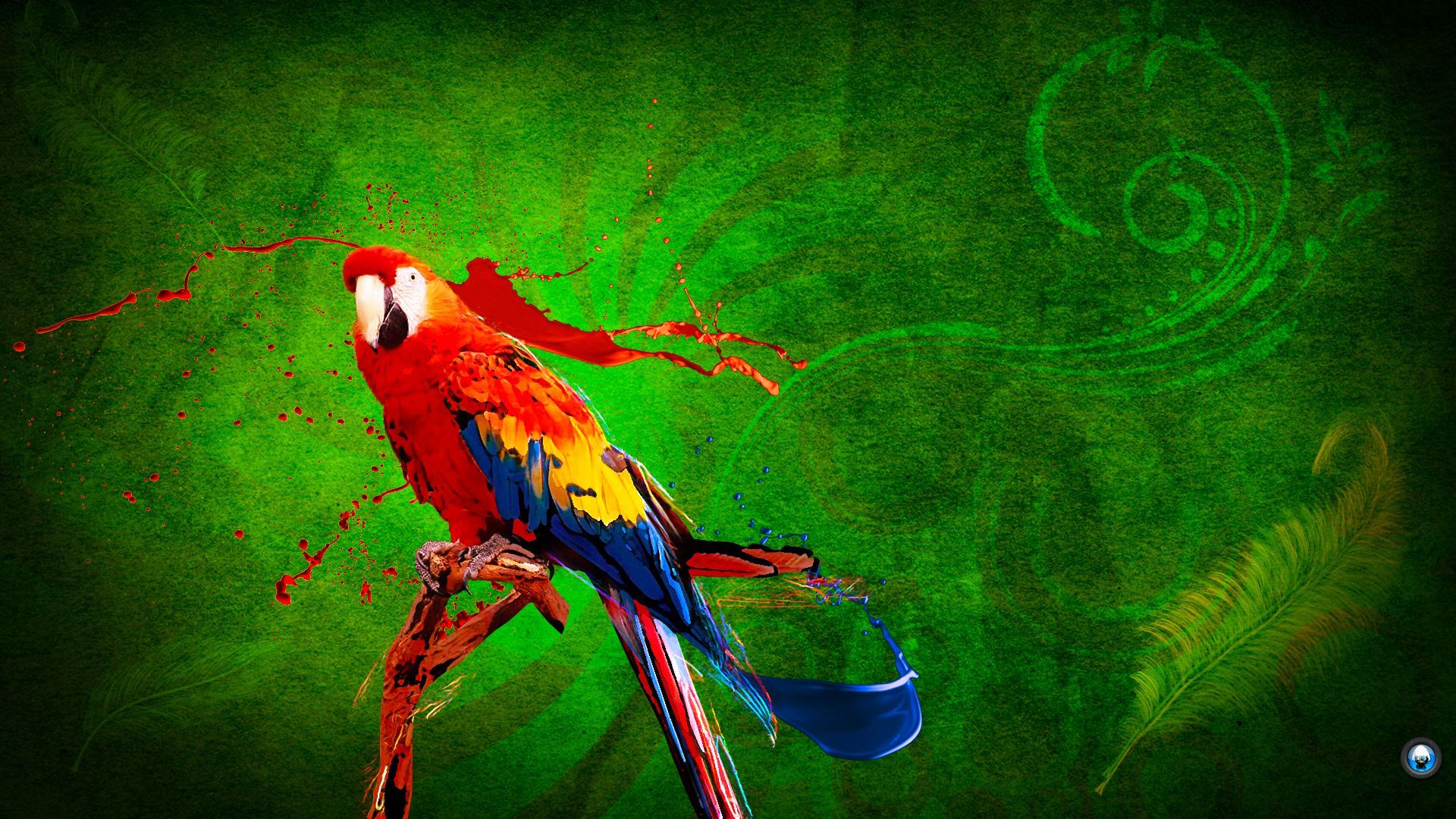 Parrot OS Wallpapers K HD Parrot OS Backgrounds On WallpaperBat