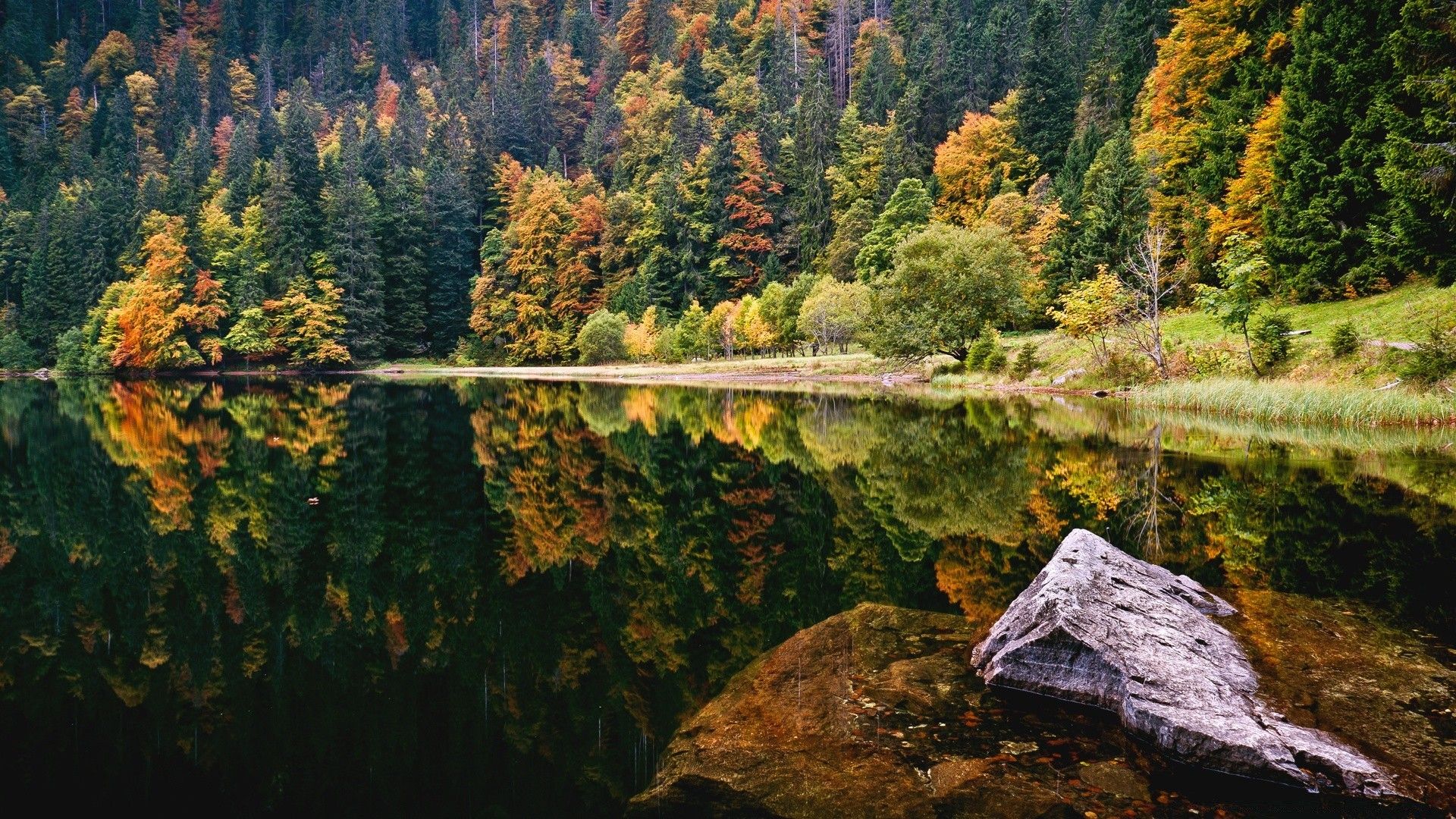 autumn-lake-desktop-wallpapers-4k-hd-autumn-lake-desktop-backgrounds