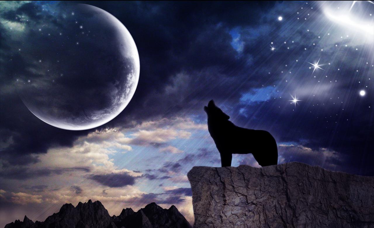 1280x782 Wolf Moon Live Wallpaper for Android on WallpaperBat.