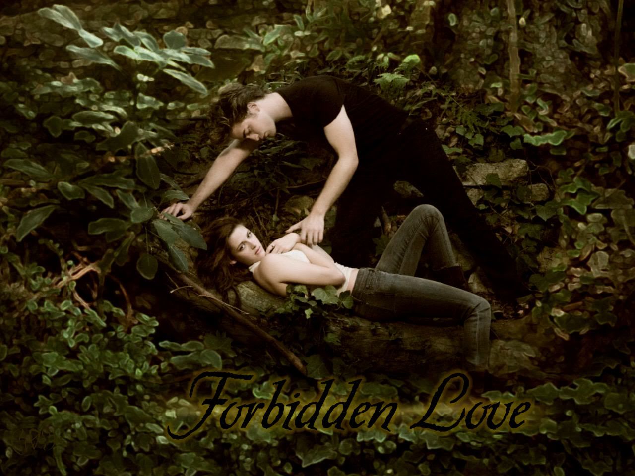 Forbidden Love Wallpapers - 4k, HD Forbidden Love Backgrounds on
