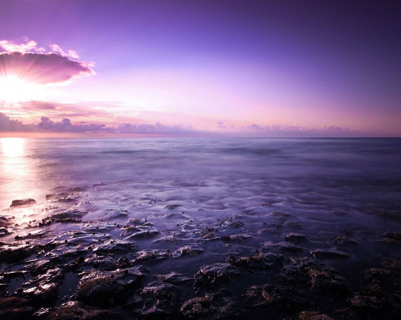 Purple Ocean Wallpapers - 4k, HD Purple Ocean Backgrounds on WallpaperBat