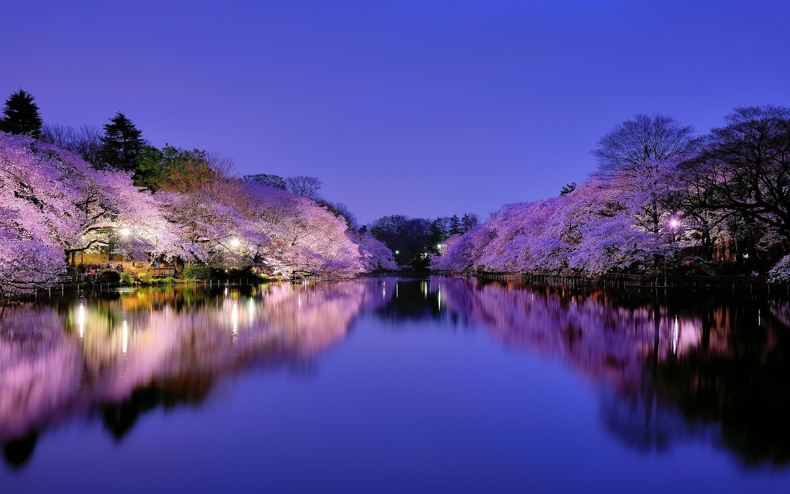 Japan Landscape Wallpapers K HD Japan Landscape Backgrounds On WallpaperBat