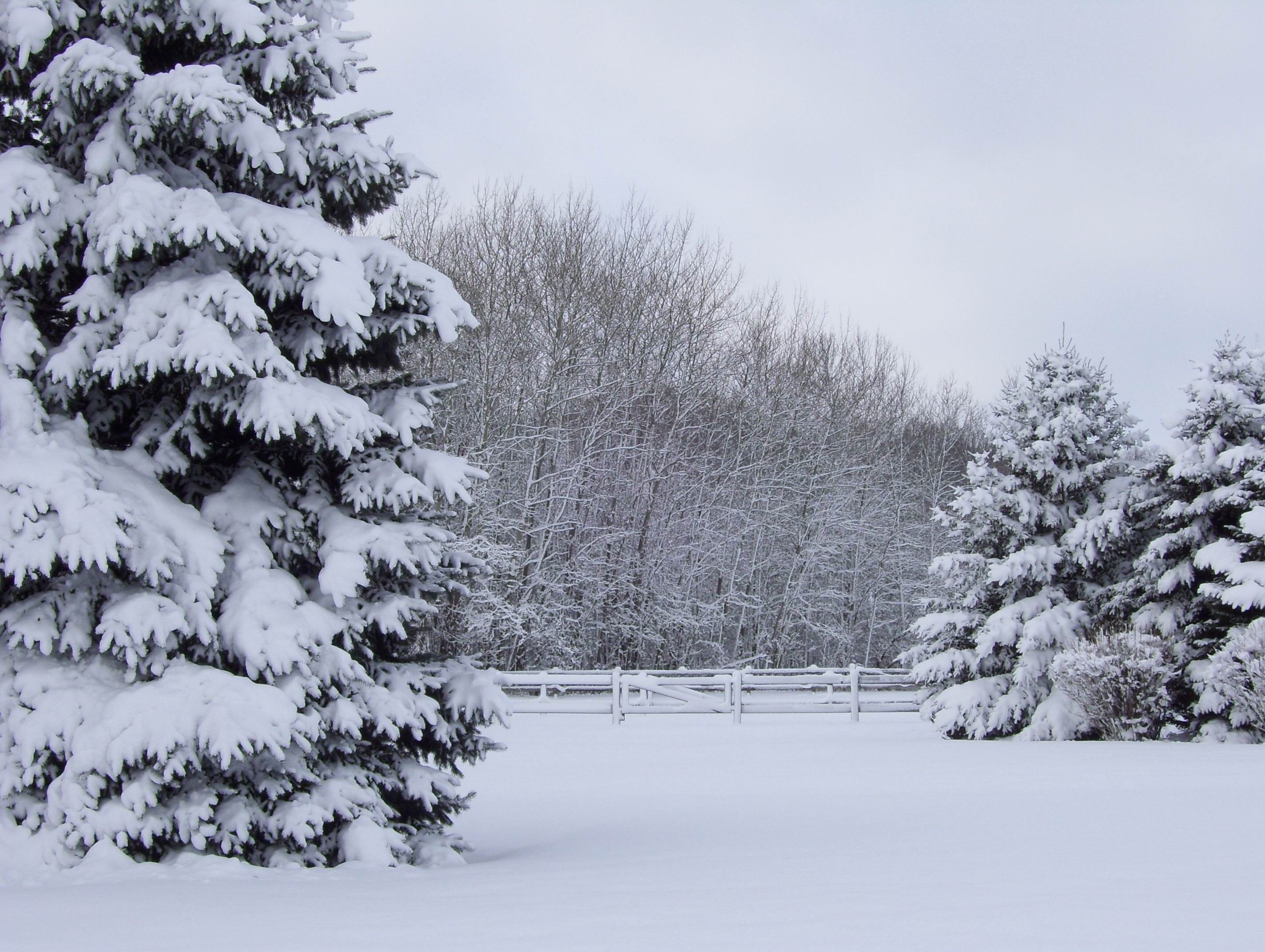 2848x2144 Free download Winter Wonderland Fun Pictures of Winter [2848x2144 ... Wallpaper