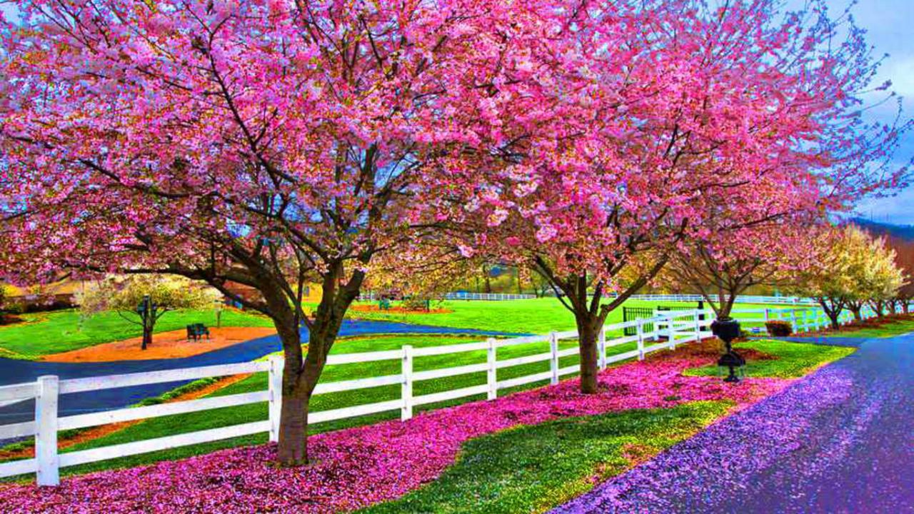 Spring Scenes Wallpapers - 4k, HD Spring Scenes Backgrounds on WallpaperBat