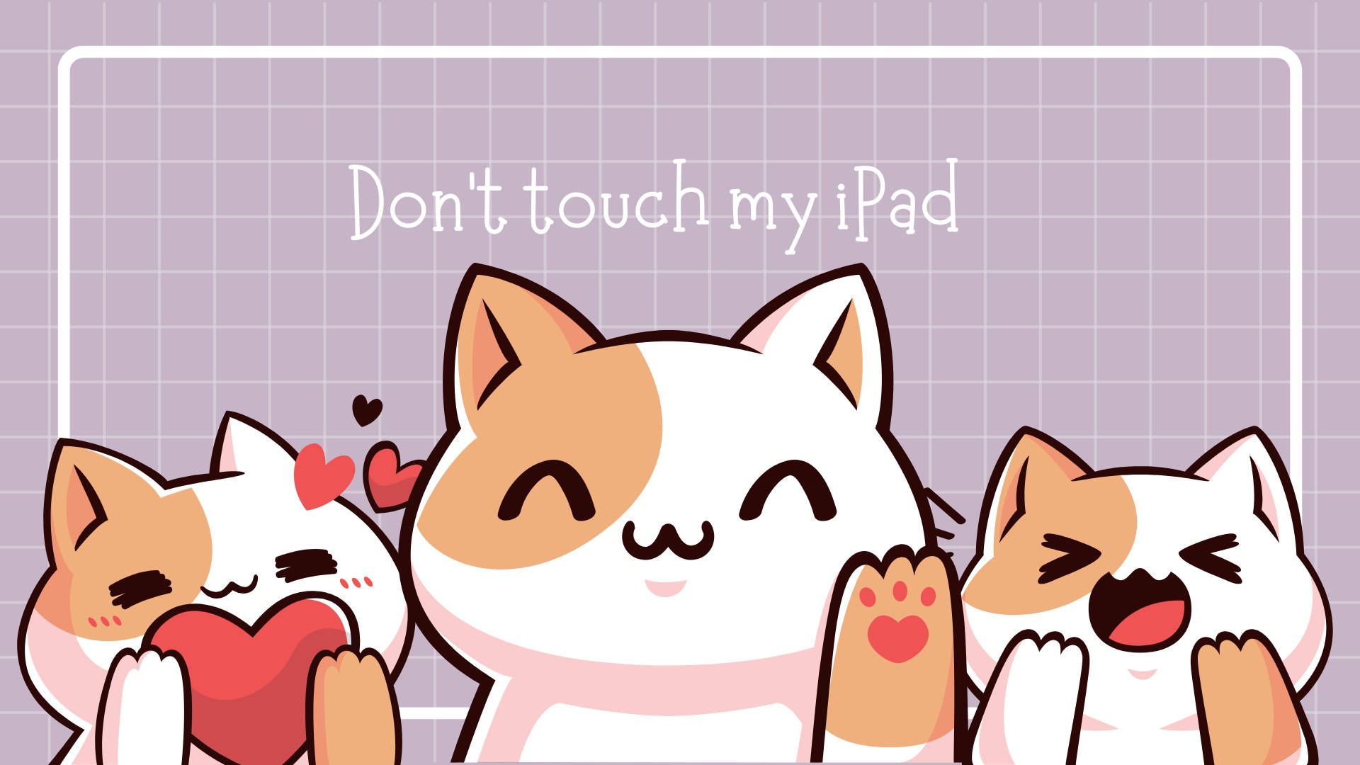 Cat iPad Wallpapers - 4k, HD Cat iPad Backgrounds on WallpaperBat