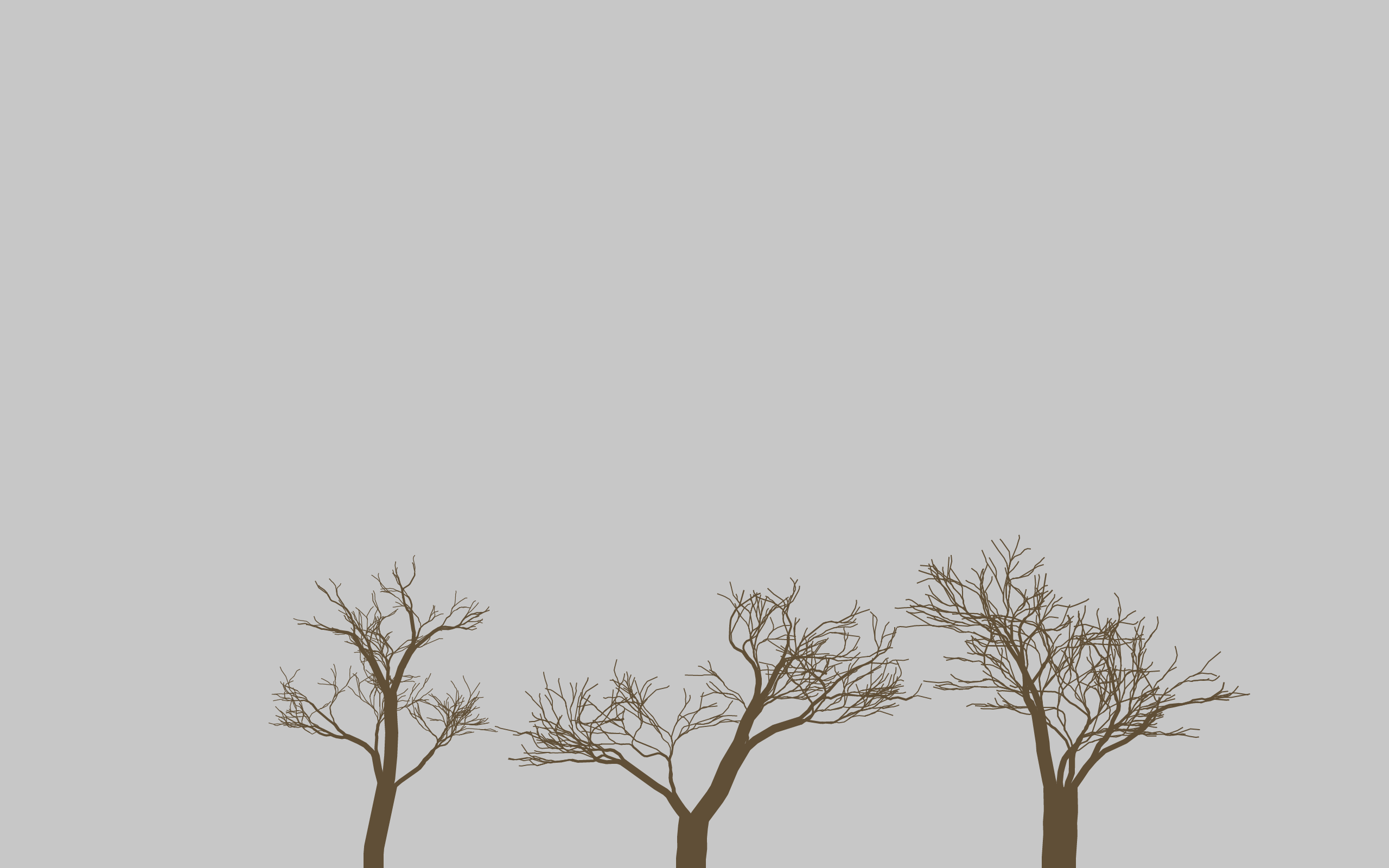 Minimalist tree wallpapers 4k hd minimalist tree backgrounds on