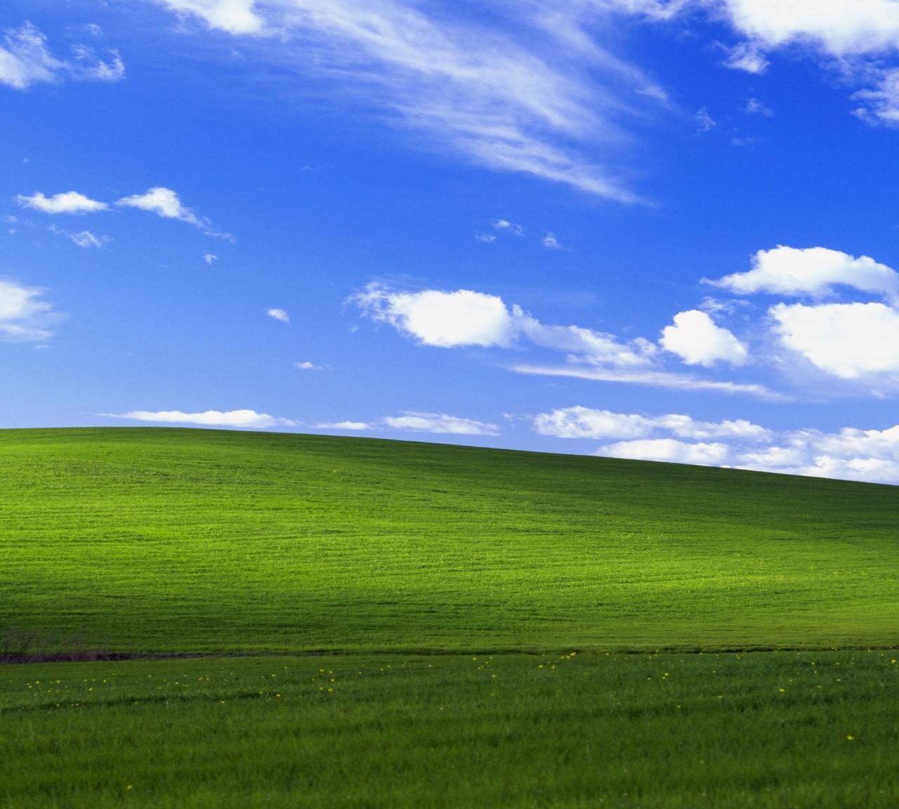 Windows XP 2018 Wallpapers - 4k, HD Windows XP 2018 Backgrounds on