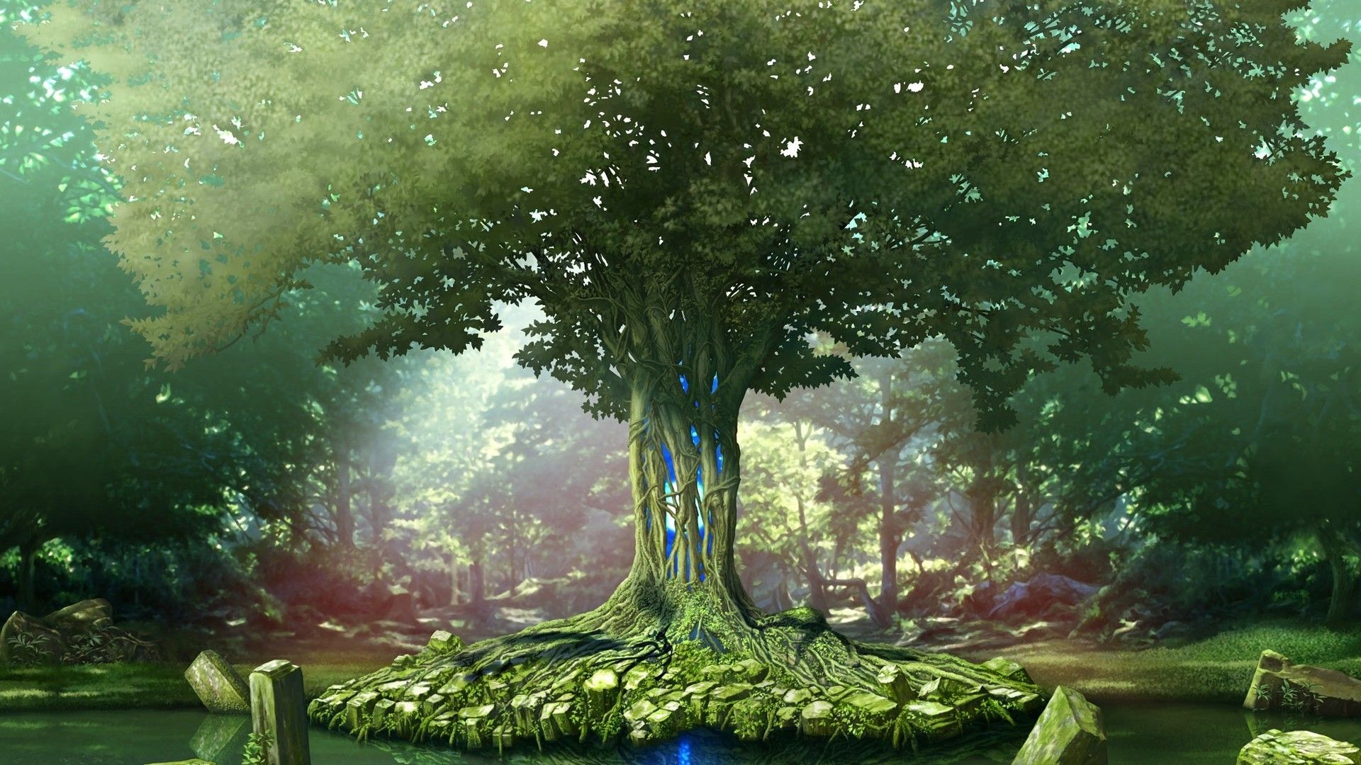 Life Tree Wallpapers - 4k, HD Life Tree Backgrounds on WallpaperBat