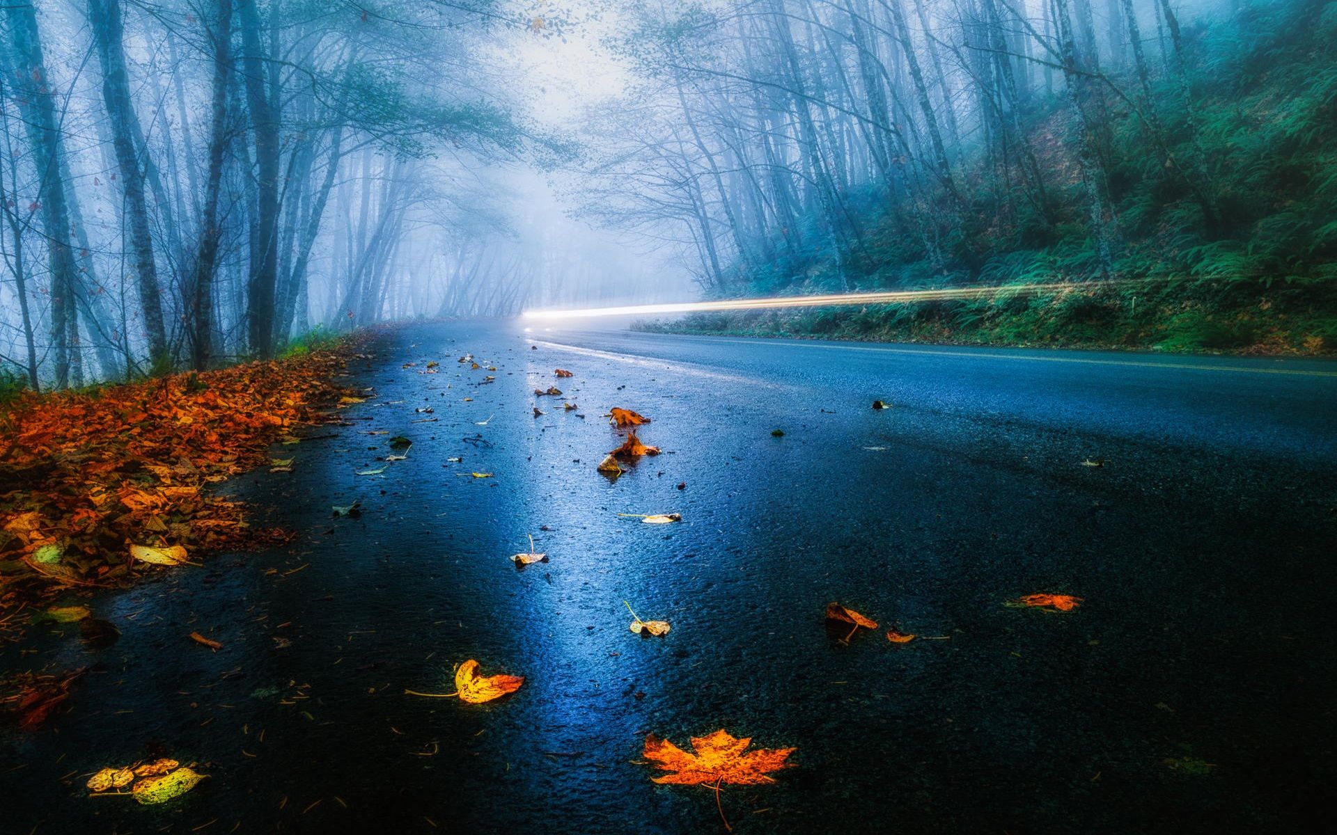 Autumn Rain Wallpapers - 4k, HD Autumn Rain Backgrounds on WallpaperBat