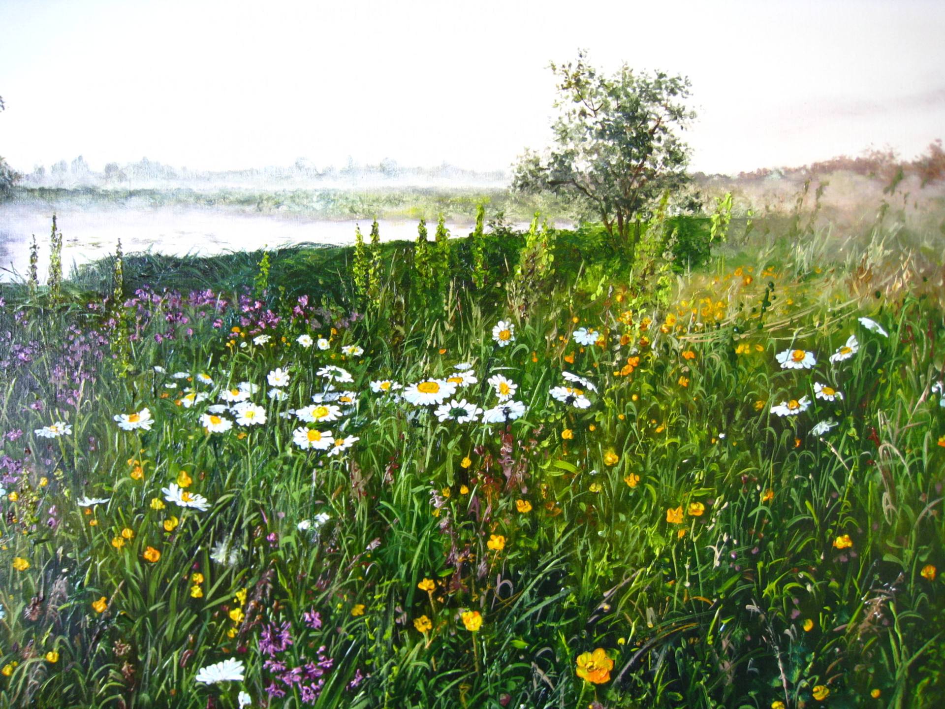 Peaceful meadow escape прохождение