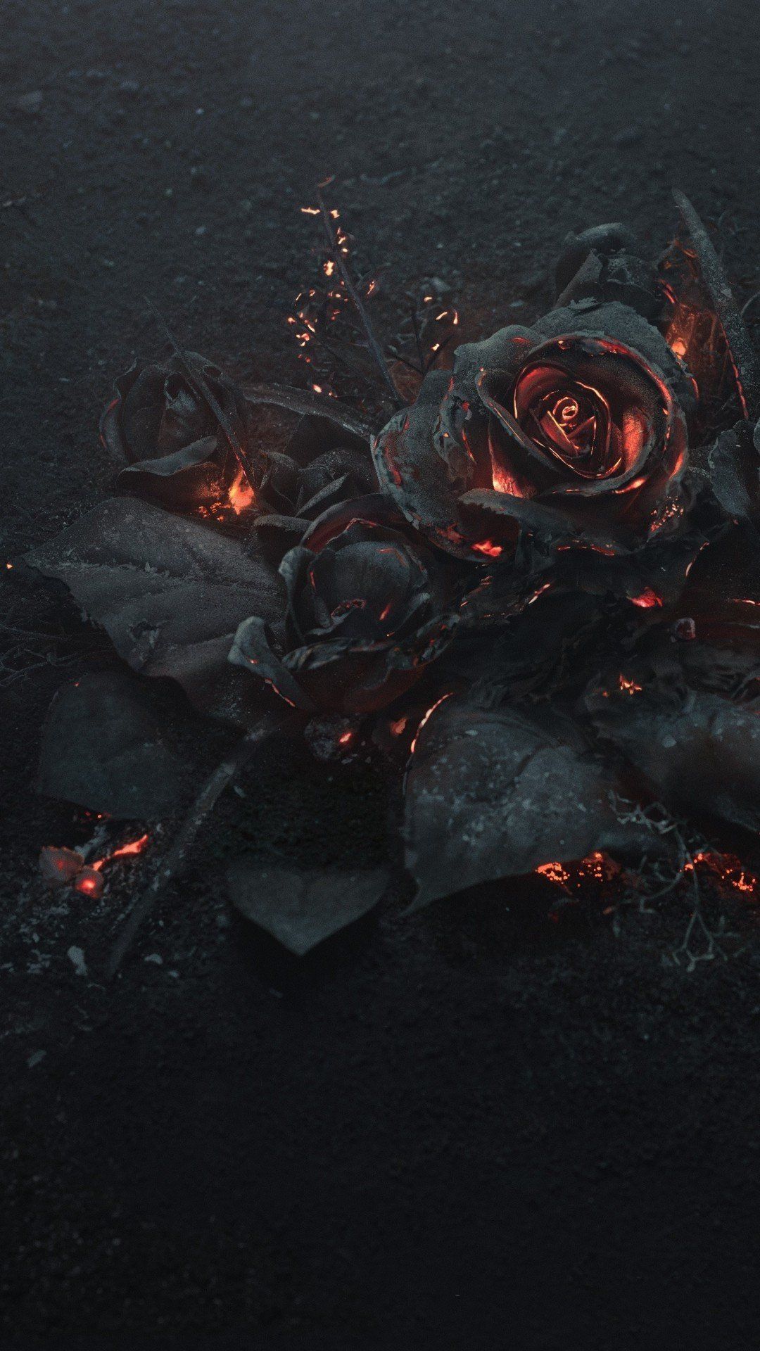 Black Rose Wallpapers - 4K, Hd Black Rose Backgrounds On Wallpaperbat