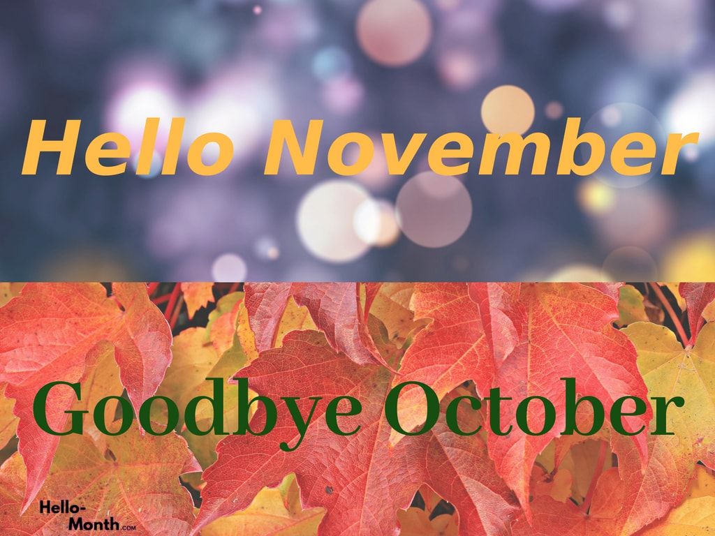 Welcome November Wallpapers - 4k, HD Welcome November Backgrounds on ...