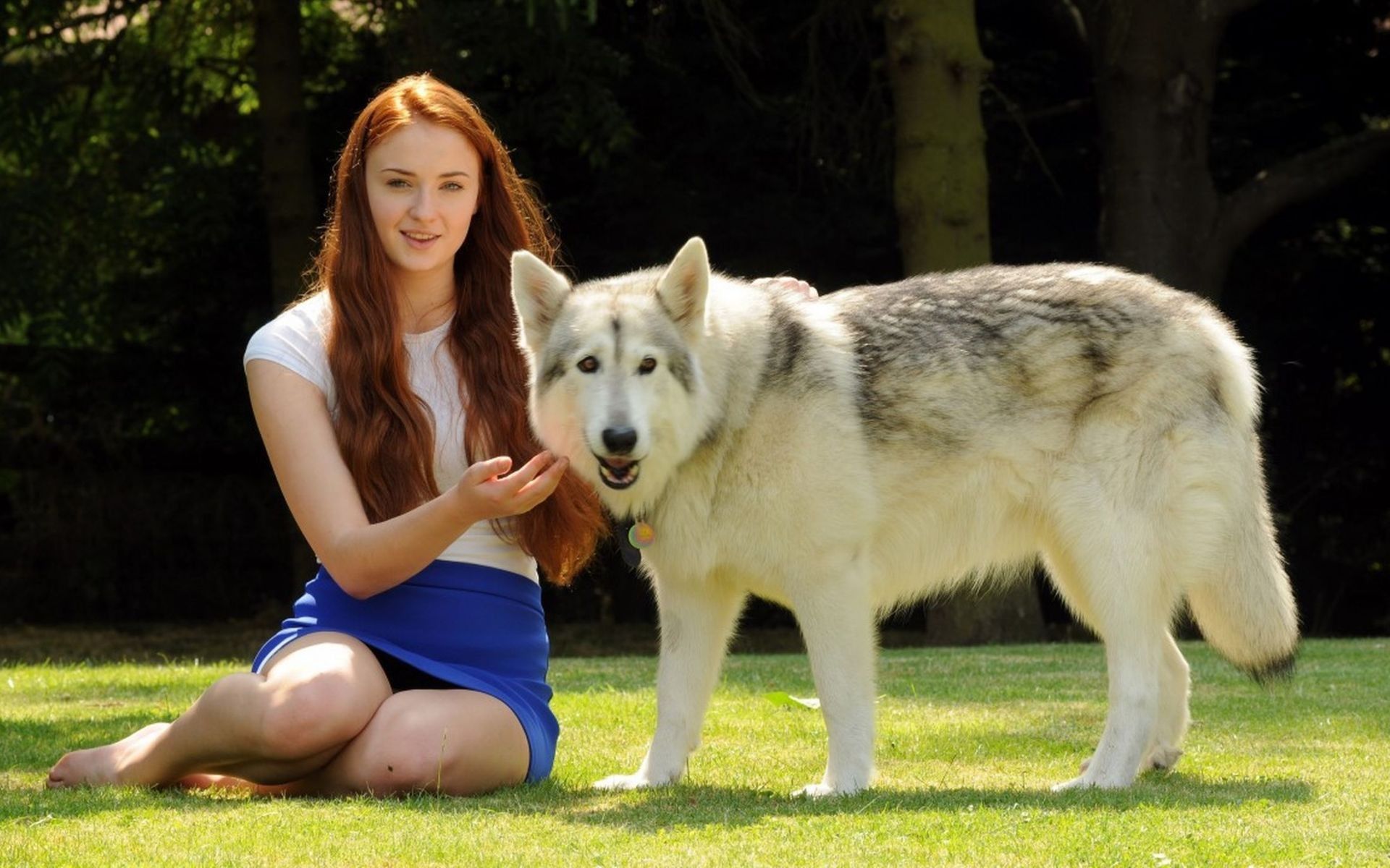 lady wolf game of thrones