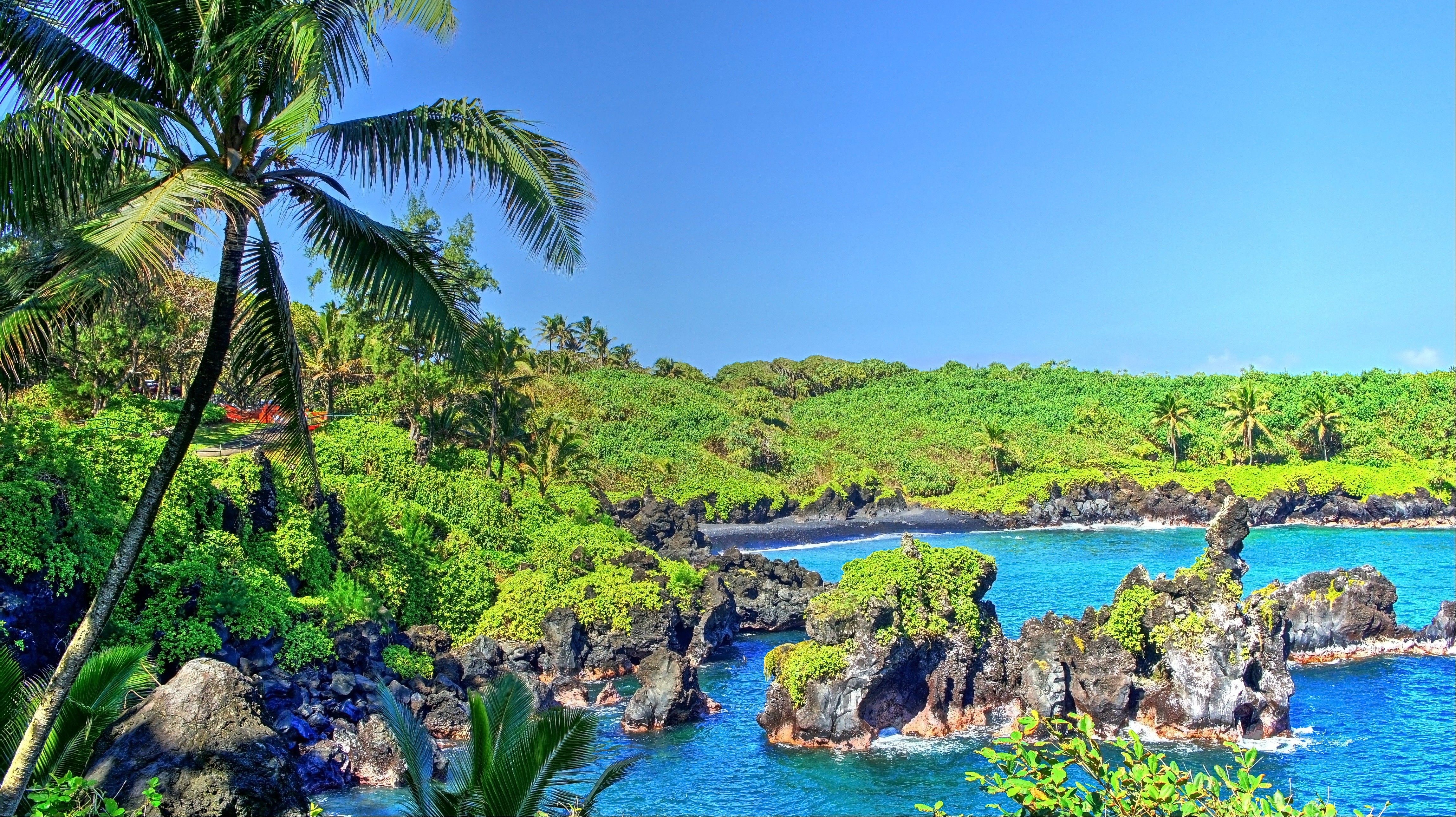 4592x2576 tropical water, Tropical forest, Hawaii, Isle of Maui, Maui, Palm...