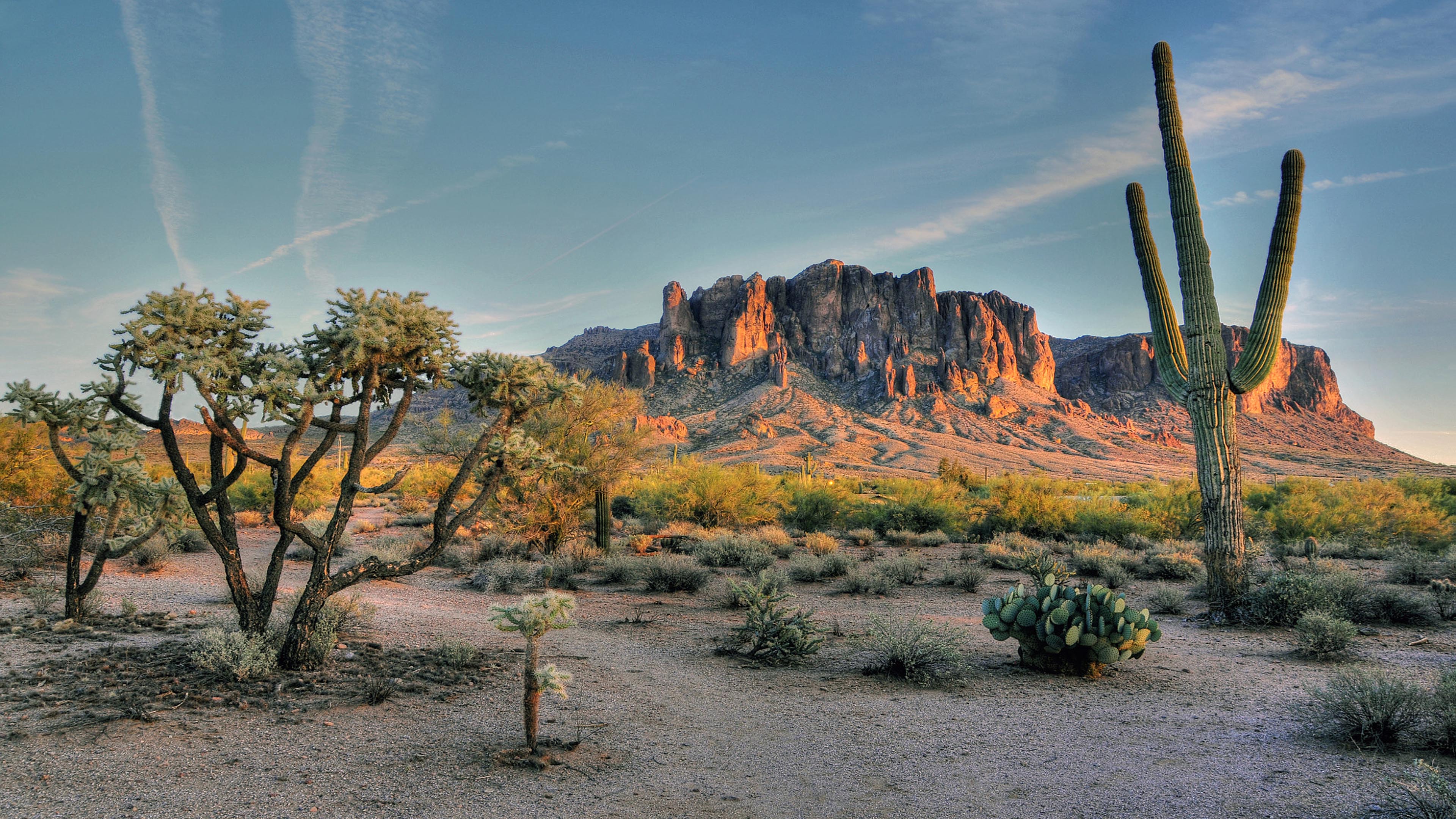 3840x2160 Superstition Mountains Mountain Range In Field Phoenix Arizona Usa on WallpaperBat