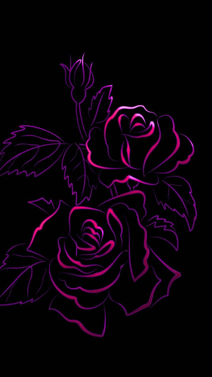 Neon Rose Wallpapers - 4k, HD Neon Rose Backgrounds on WallpaperBat