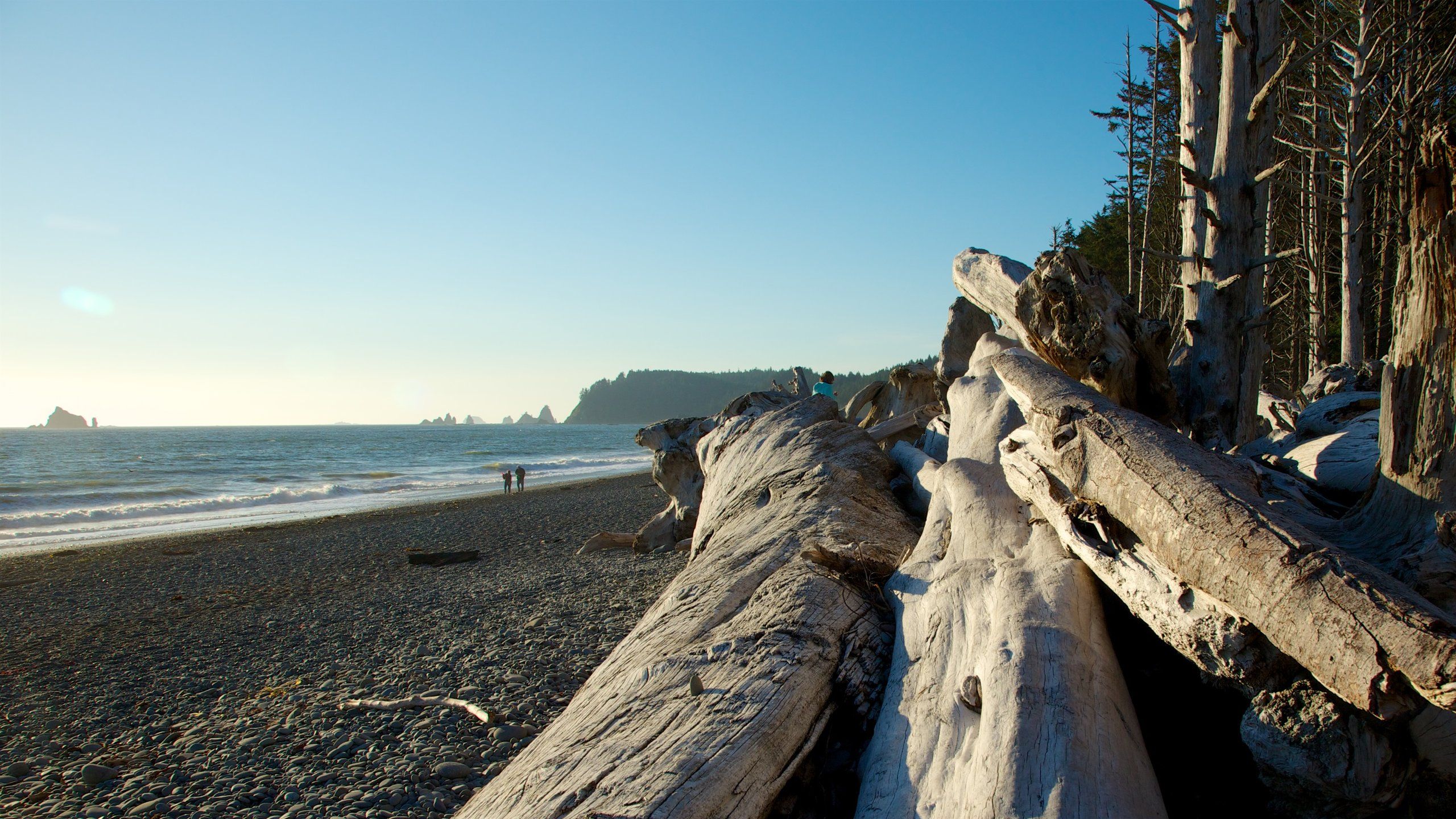 2560x1440 Top Hotels In La Push For 2020 (from CA $91 Night) on WallpaperBat