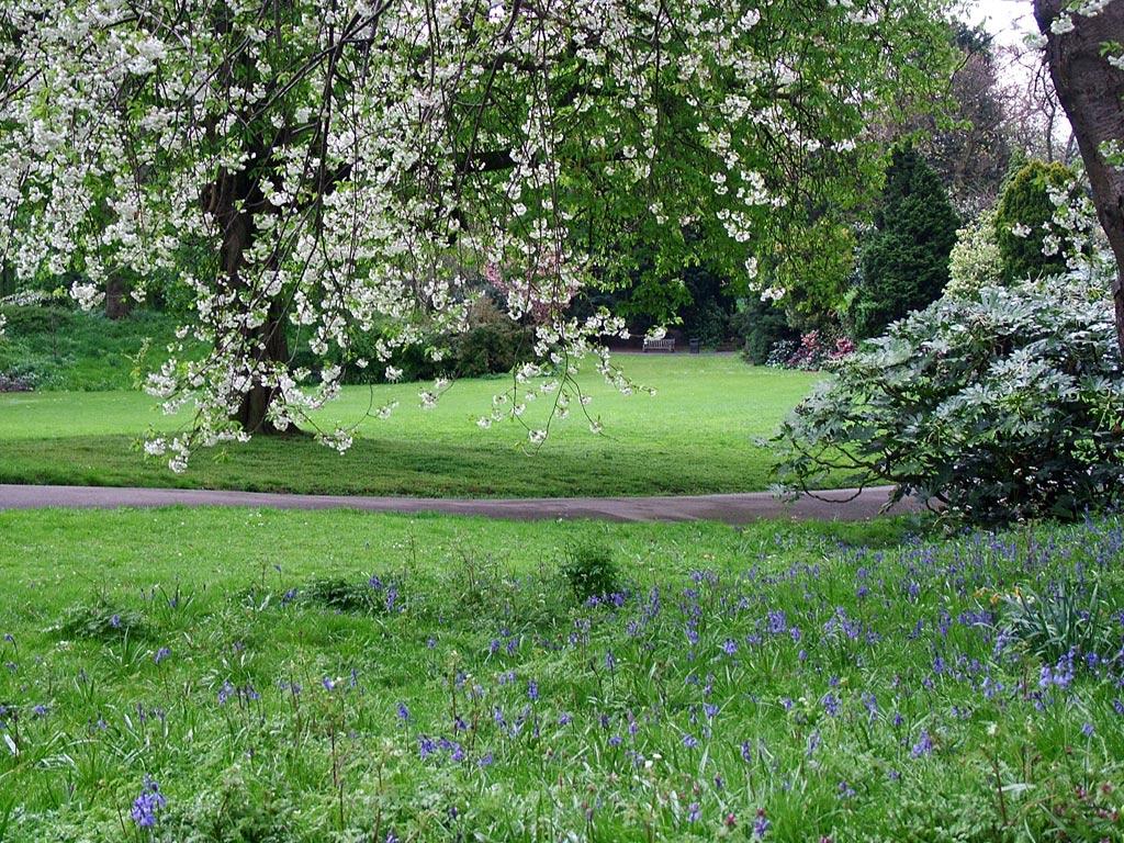 Spring English Garden Wallpapers - 4k, HD Spring English Garden ...