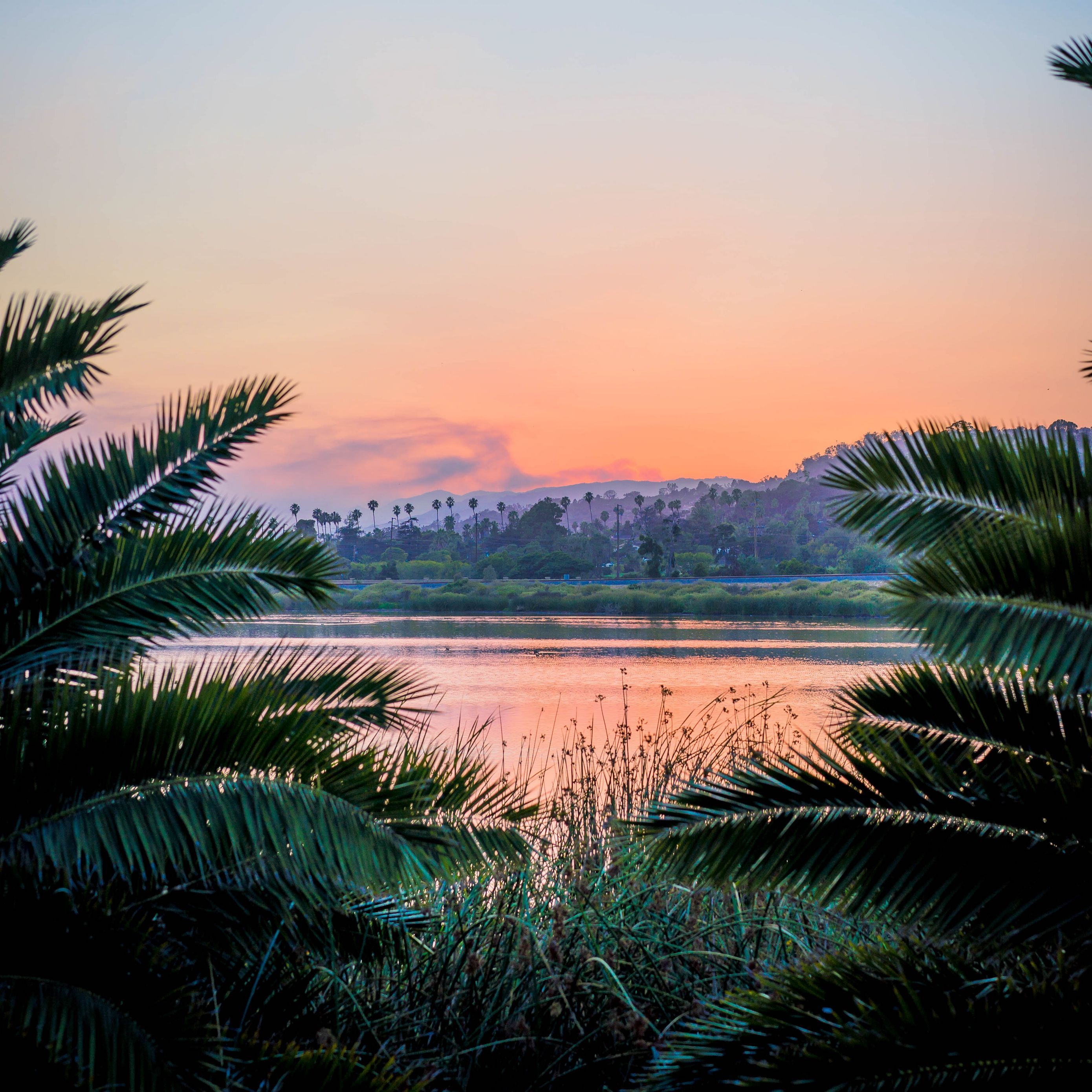 2780x2780 Download wallpaper 2780x2780 branches, lake, sunset, grass, santa barbara,  usa ipad air, ipad air 2, ipad 3, ipad 4, ipad mini 2, ipad mini 3, ipad  mini 4, ipad pro 9.7