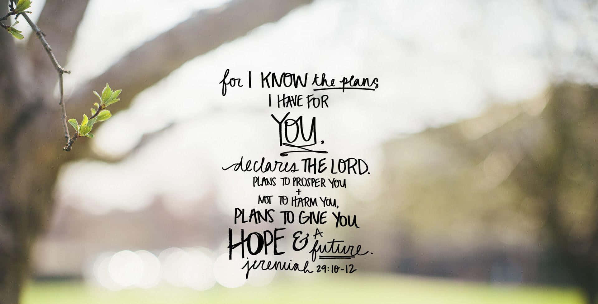 1920x979 100+] Cute Bible Verse Wallpapers ... Wallpaper