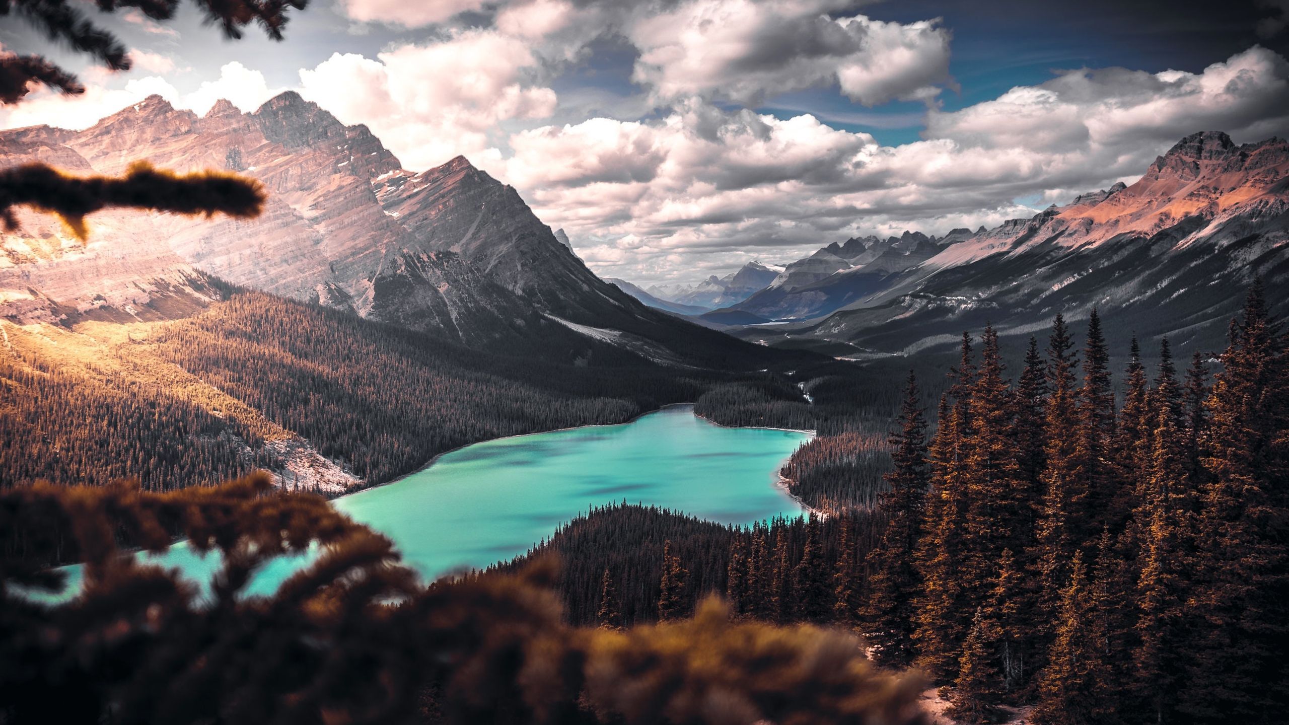 2560x1440 Lake, Mountain, Trees, Clouds, Scenic | Scenic wallpaper, Scenic landscape,  Landscape wallpaper Wallpaper