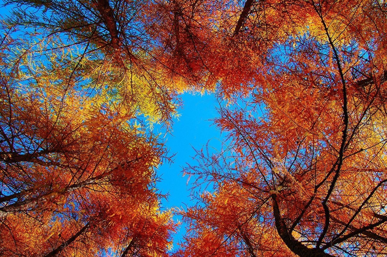 Autumn Sky Wallpapers - 4k, HD Autumn Sky Backgrounds on WallpaperBat