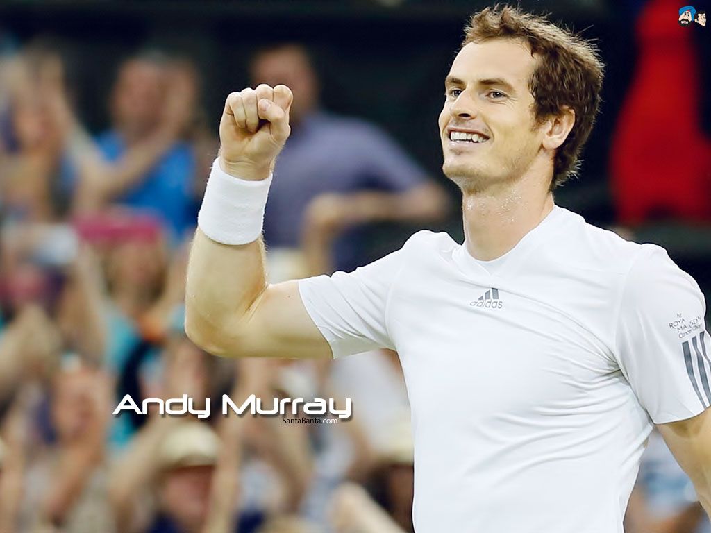 Andy Murray Wallpapers 4k, HD Andy Murray Backgrounds on WallpaperBat