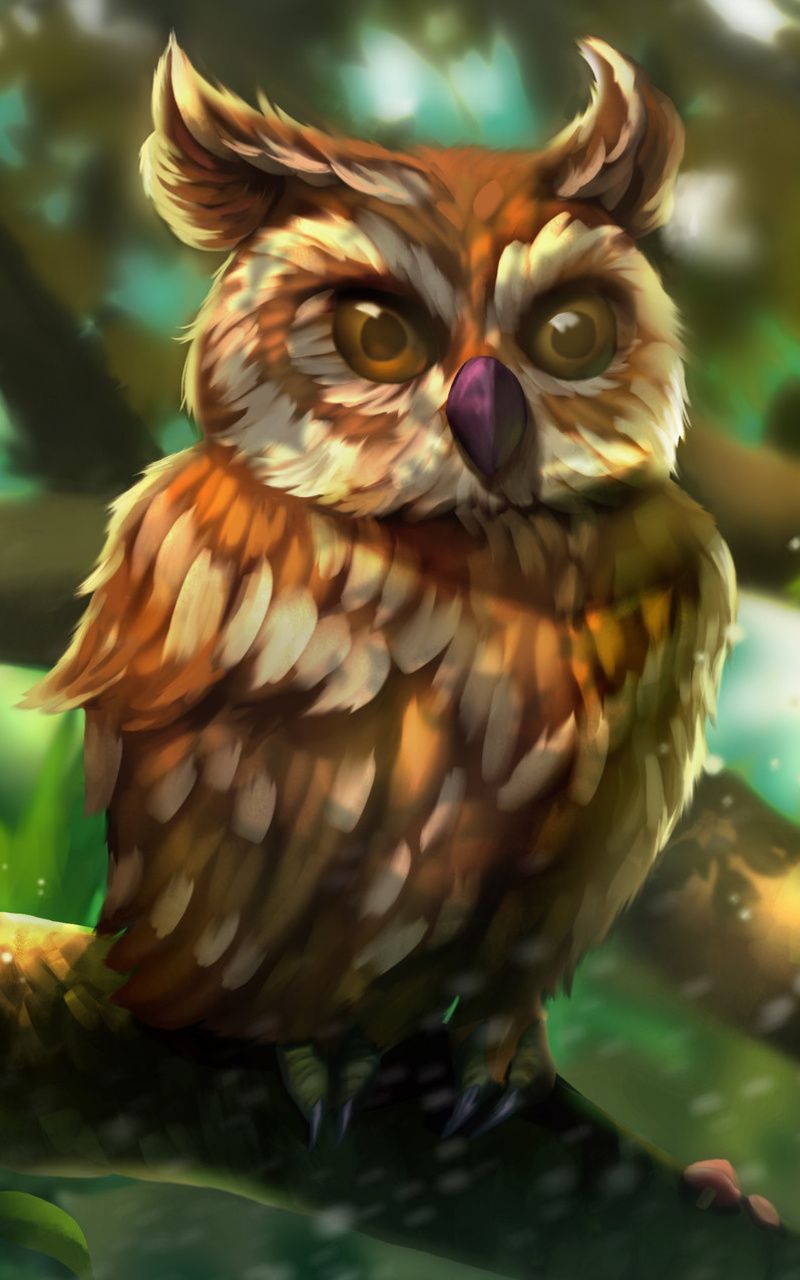 Colorful Owl Wallpapers 4k Hd Colorful Owl Backgrounds On Wallpaperbat 7151