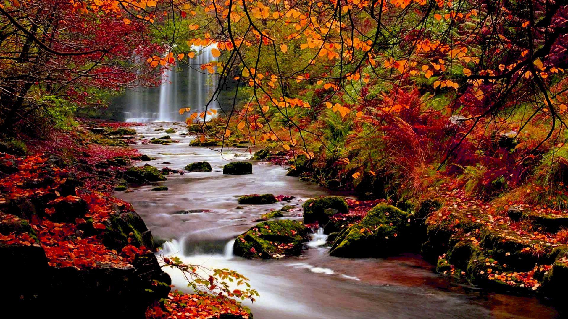 Nature Autumn Wallpapers - 4k, HD Nature Autumn Backgrounds on WallpaperBat