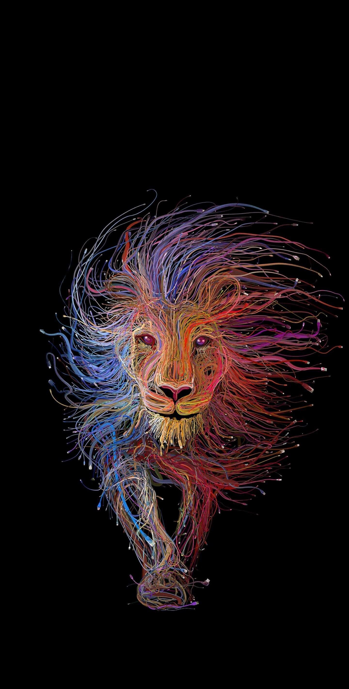 AMOLED Lion Wallpapers - 4k, HD AMOLED Lion Backgrounds on WallpaperBat